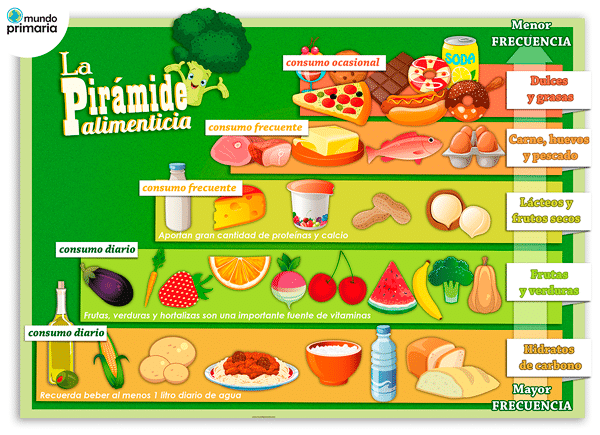 http://www.mundoprimaria.com/wp-content/uploads/2014/05/Piramide-alimenticia-6002.png