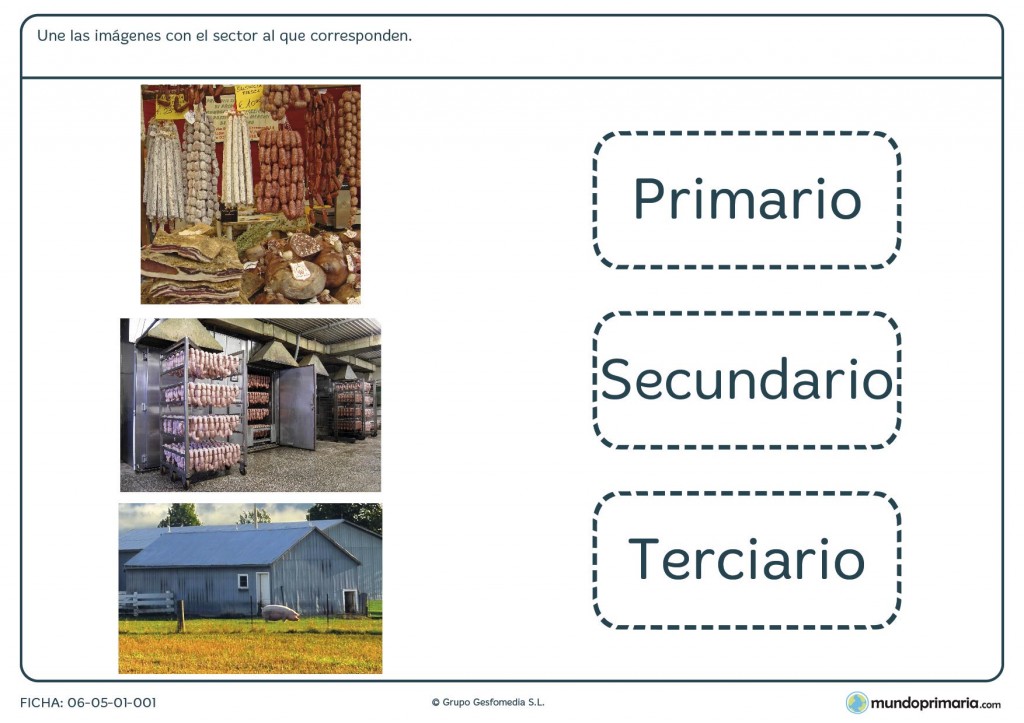 Ficha de los sectores económicos para primaria