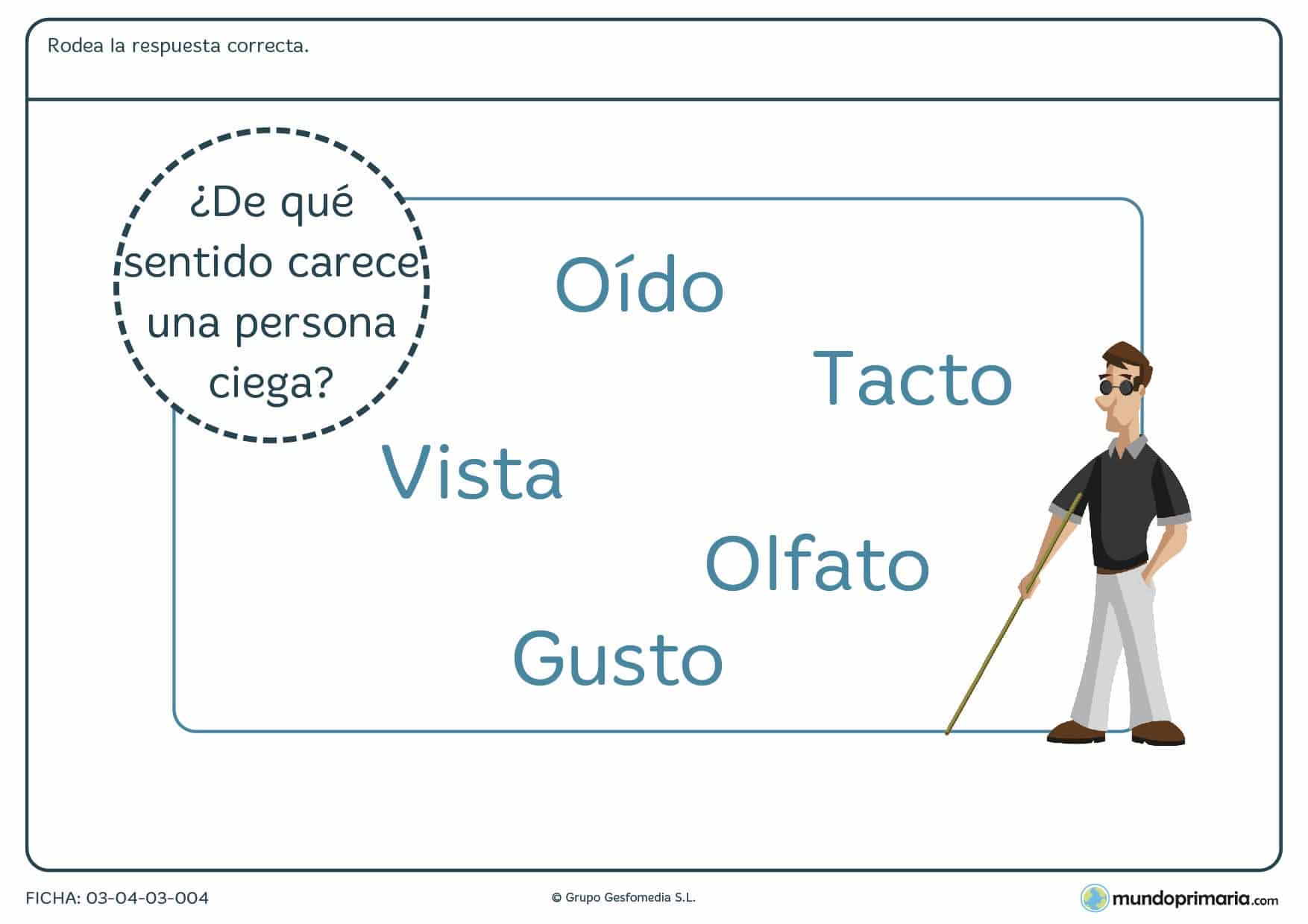 Ficha de la falta del sentido de la vista para practicar los conceptos de primaria sobre los sentidos