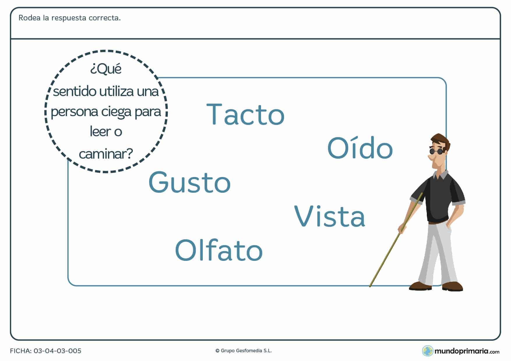 Ficha de la sustitución del sentido de la vista con ejercicios destinados niños de primaria