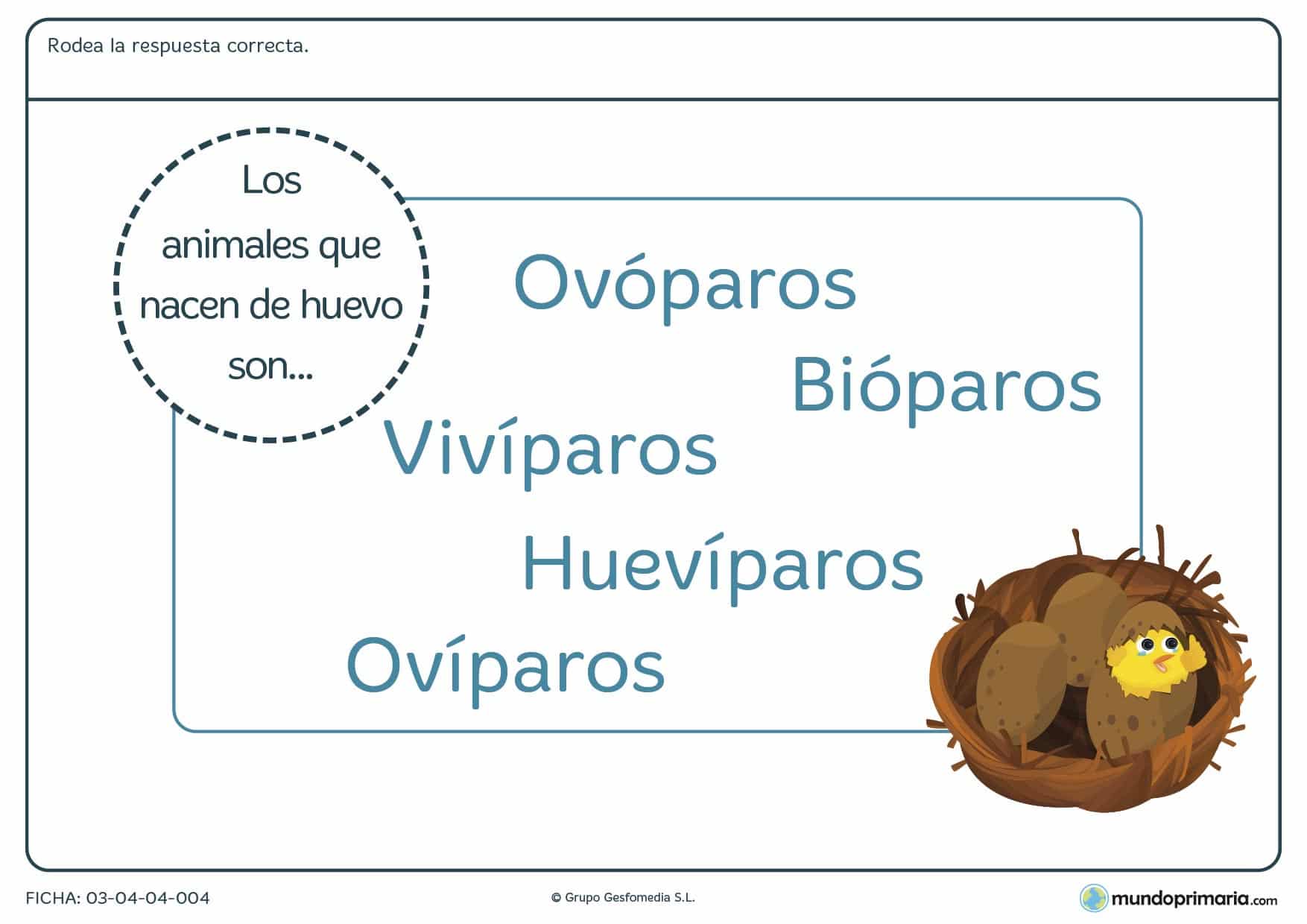 Ficha de los ovíparos para primaria