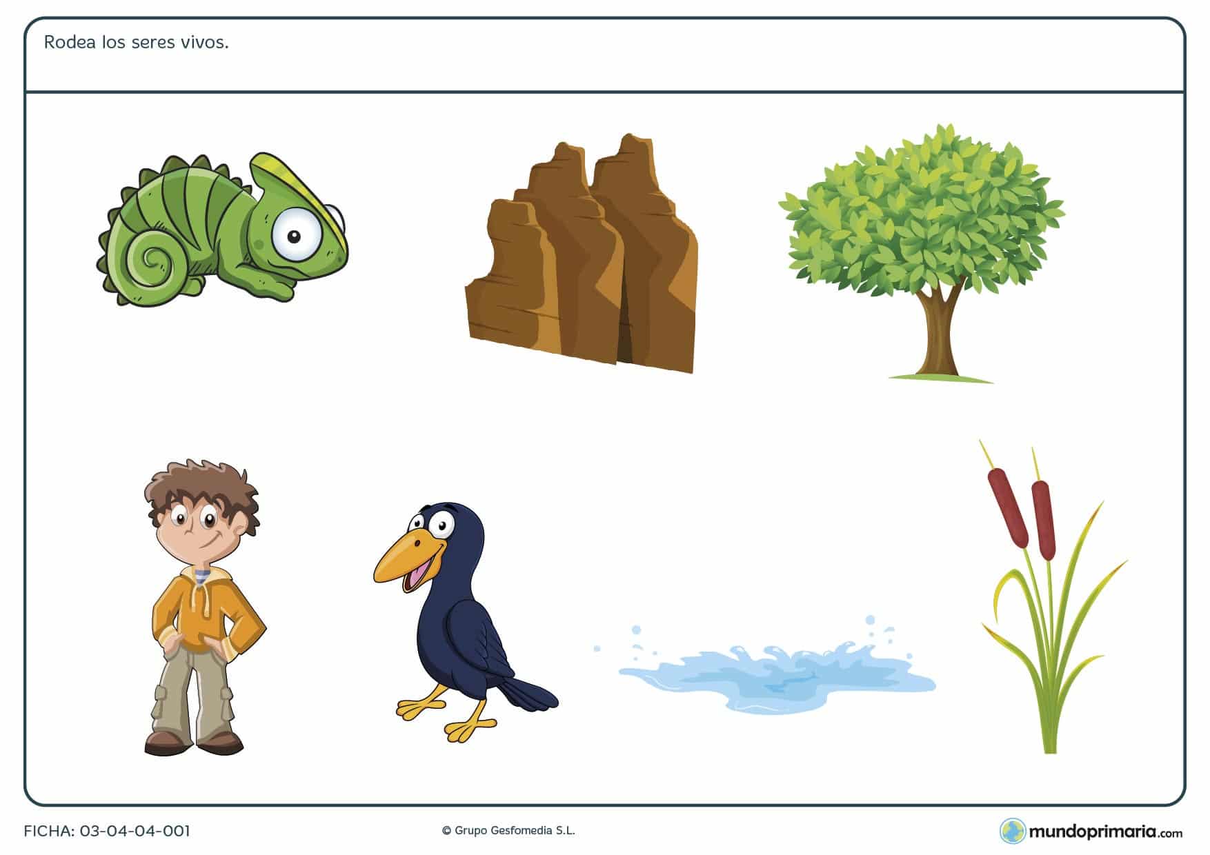 Cuento De Los Seres Vivos E Inertes Para Niños