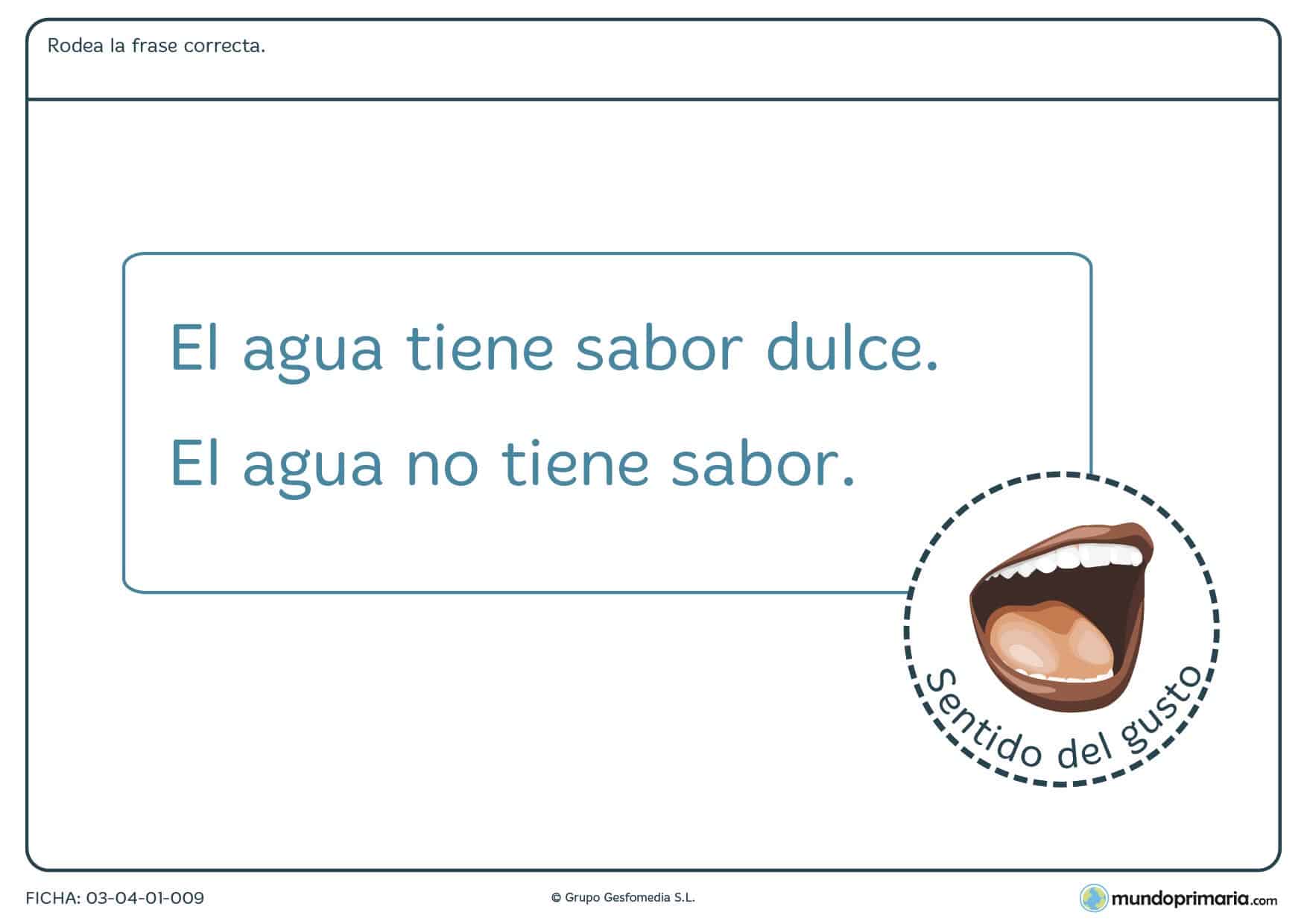 Ficha del agua y su sabor con la que aprender sobre el agua en 1º de primaria