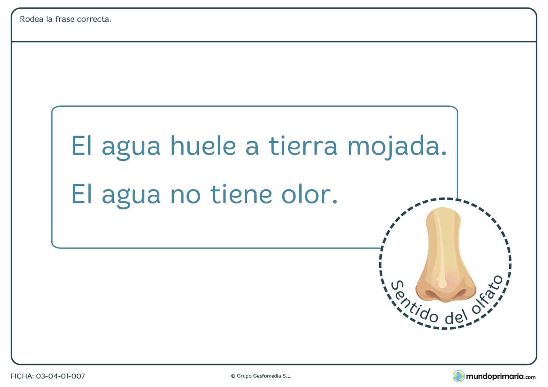 Ficha del olor del agua donde los niños de primaria repasan las características del agua. Ficha del olor del agua para descargar