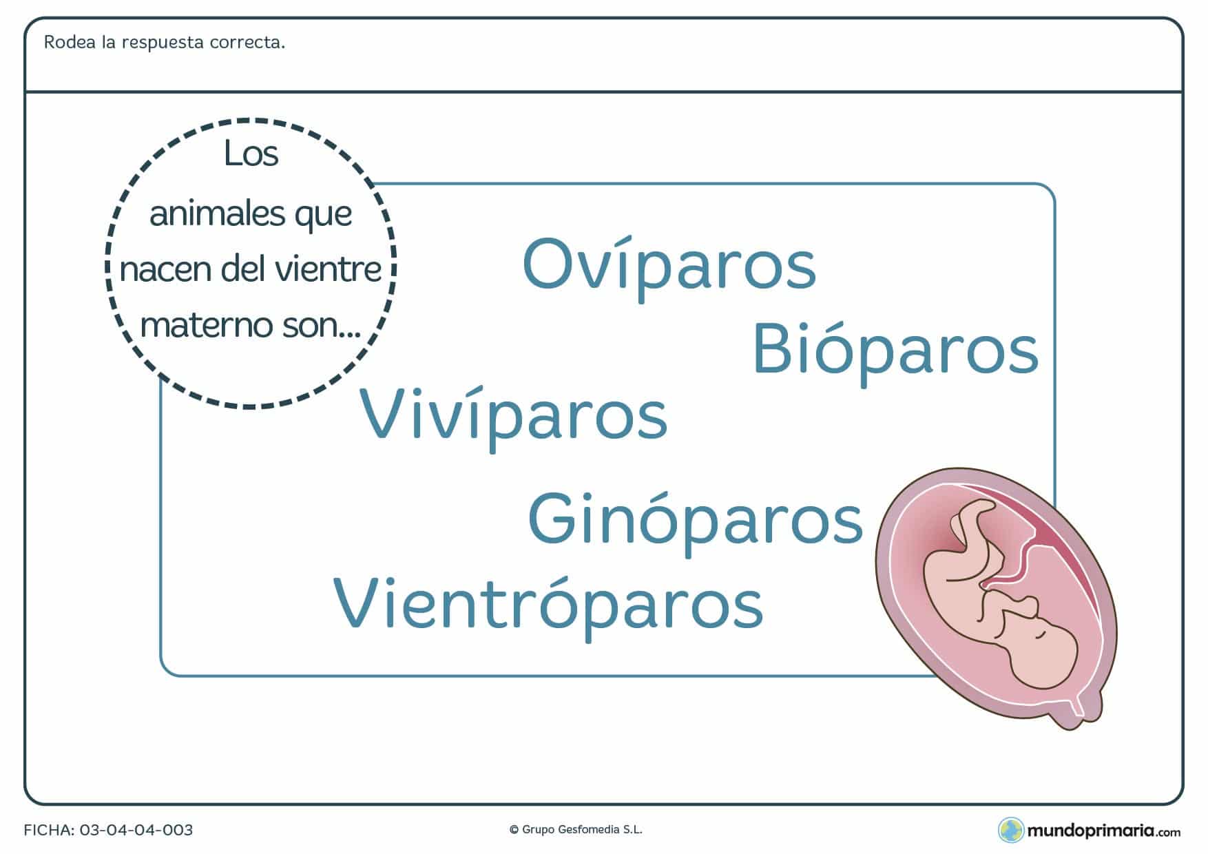 Ficha del tipo de nacimiento para niños de primaria