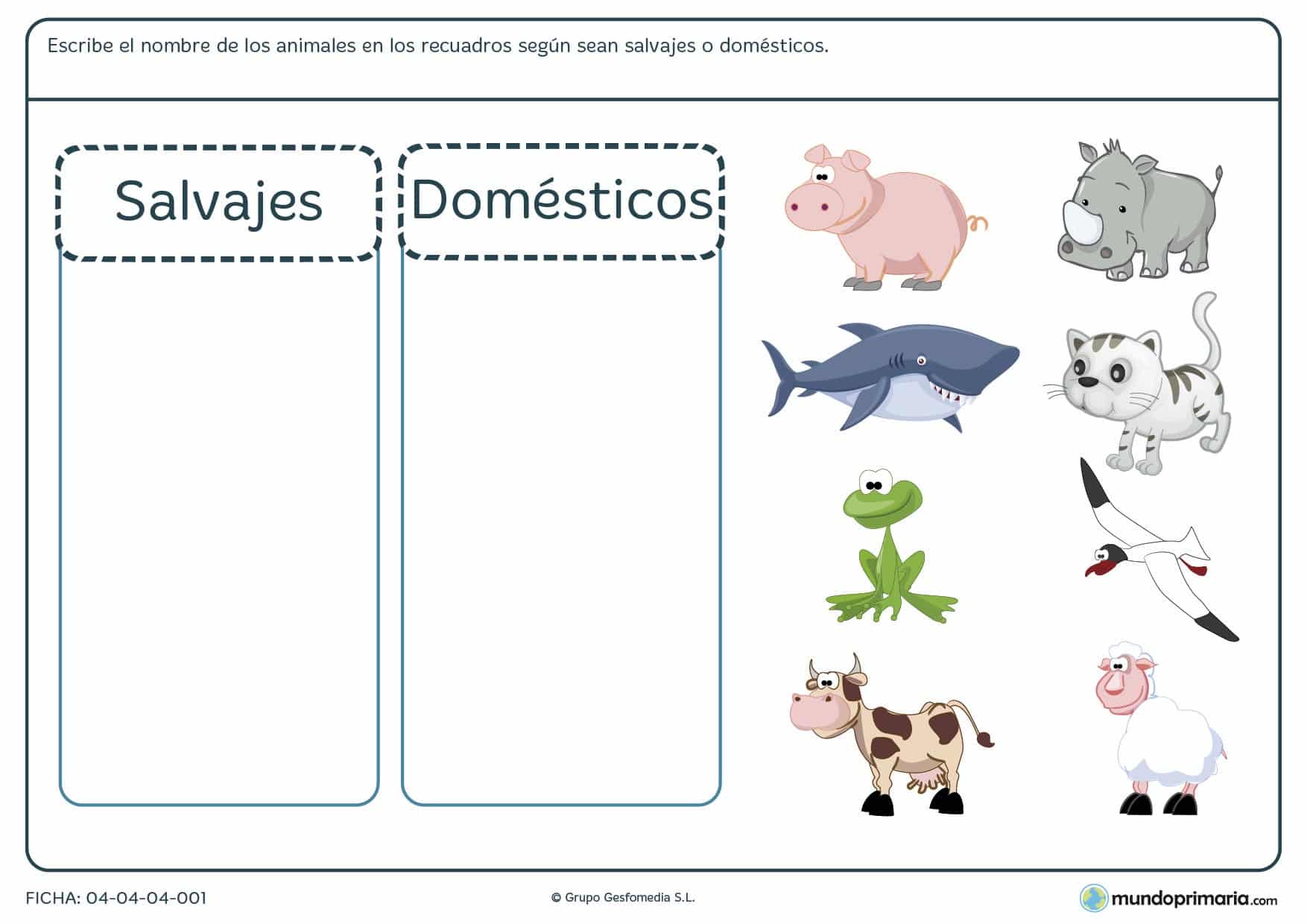 Ficha de animales en la que debes organizar en grupos, ya sean salvajes o domésticos, una serie de animales que te enseñamos.