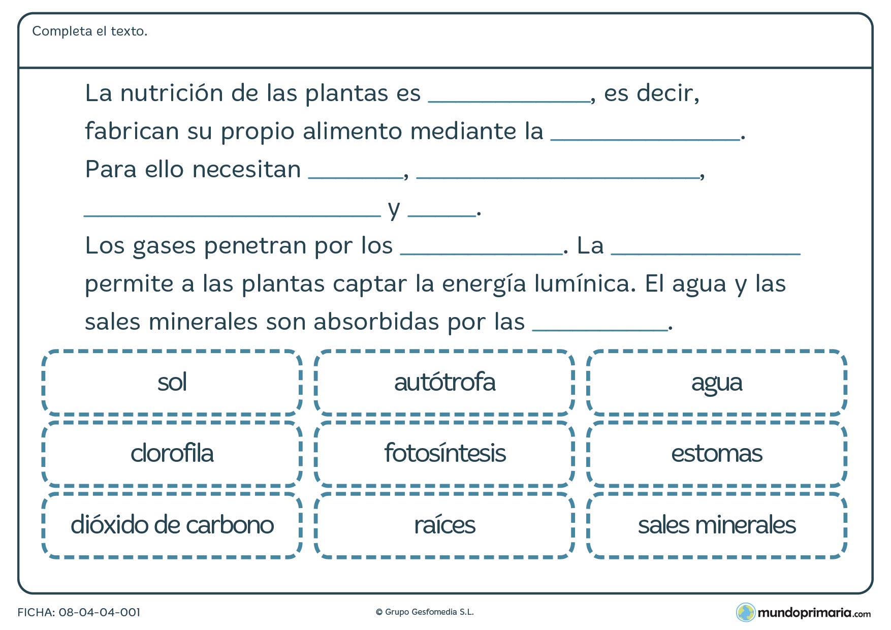 Ficha de nutrición de las plantas en la que habrá de rellenar los huecos con las palabras referidas a la nutrición de las plantas.