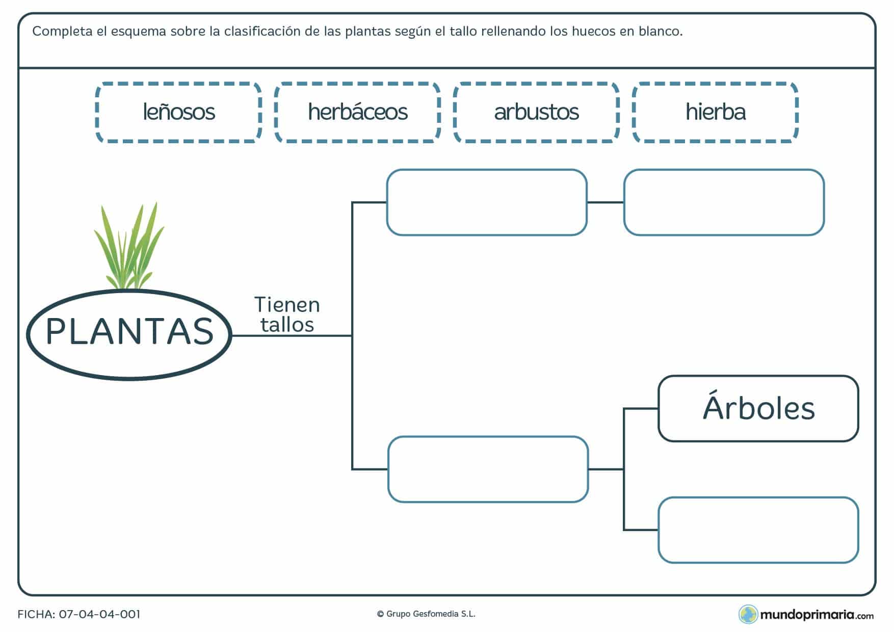 Ficha de plantas según su tallo en la que deberás rellenar los espacios en blanco según se denomine la planta por su tallo.