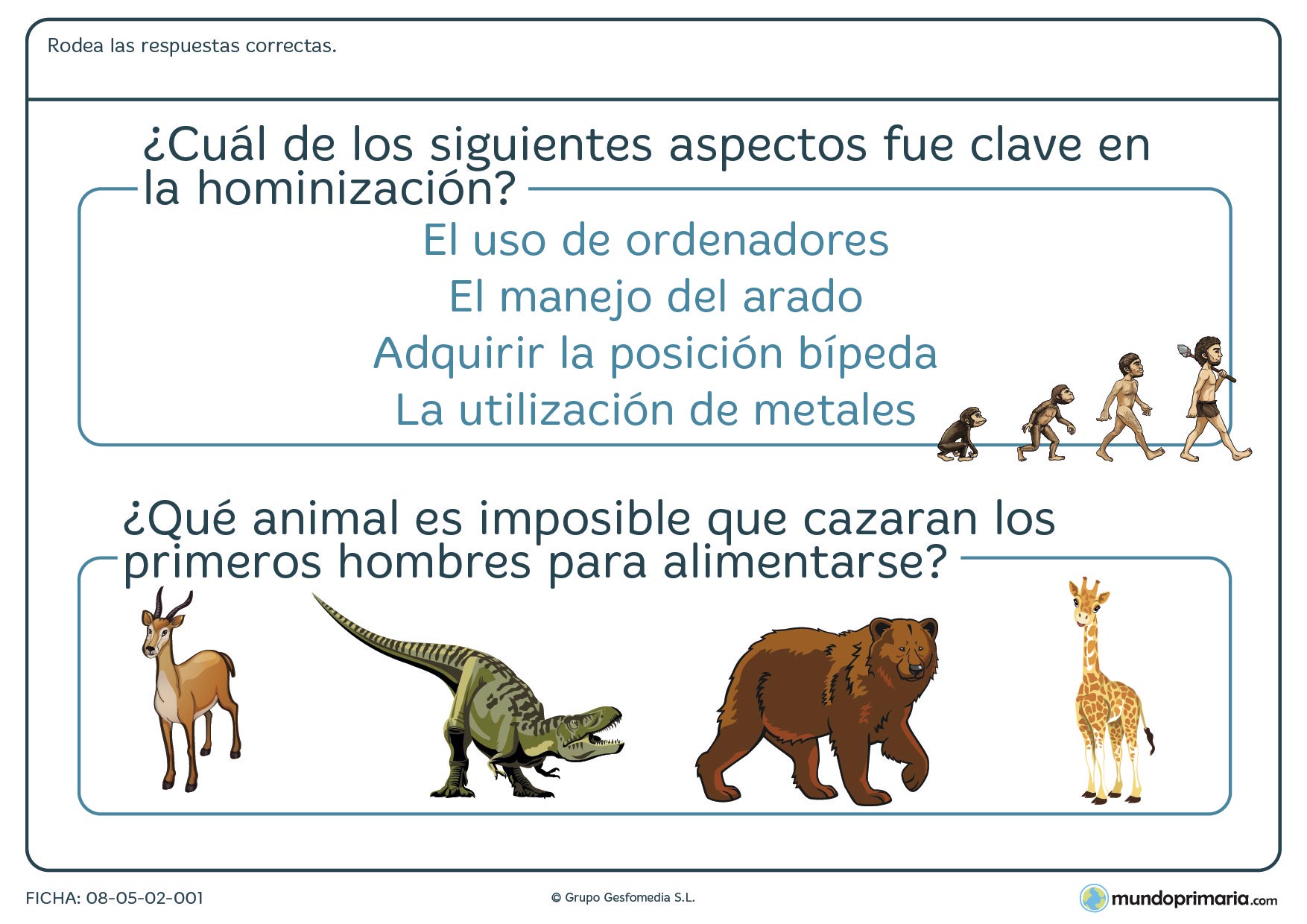 Ejercicios 6 primaria sociales ciencias