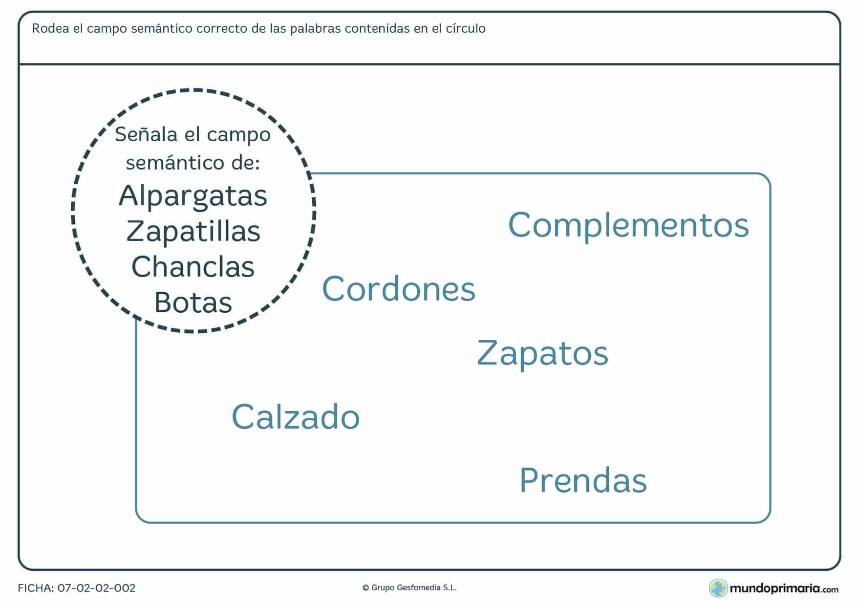 Ficha de red léxica para señalar entre varios el campo semántico al que pertenecen las palabras mostradas.