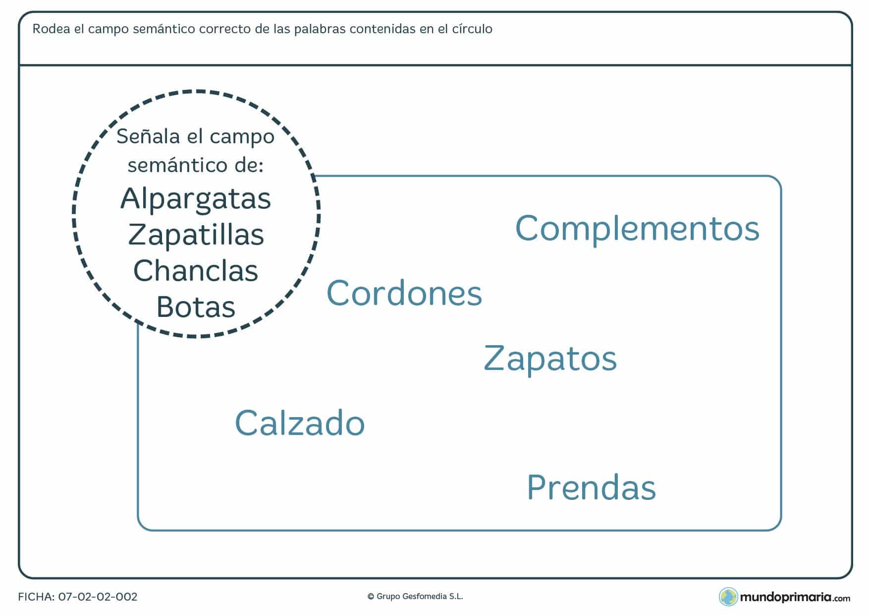 Ficha de red léxica para señalar entre varios el campo semántico al que pertenecen las palabras mostradas.