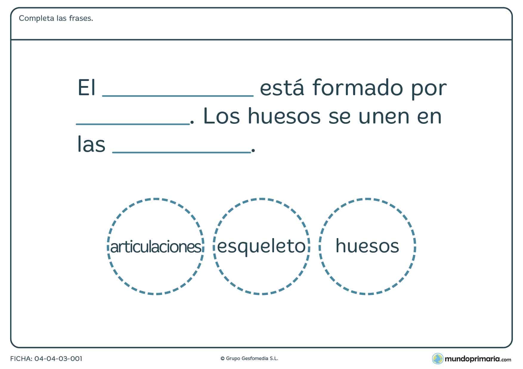 Ficha del esqueleto para completar correctamente una frase ordenando palabras sobre el sistema oseo