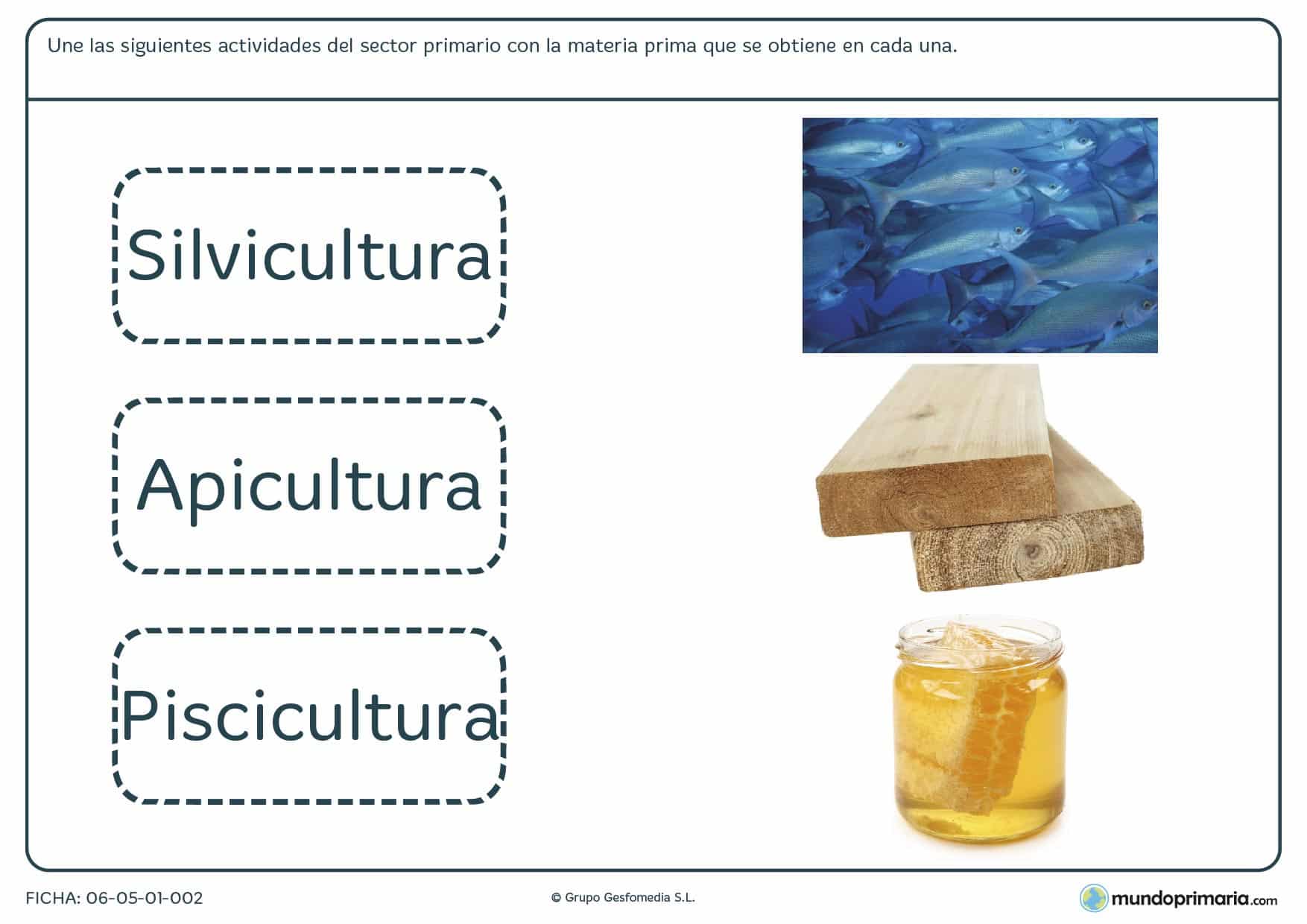 Ficha del sector primario en la que te presentamos 3 imágenes de actividades de este sector y que tienes que unir a sus nombres.