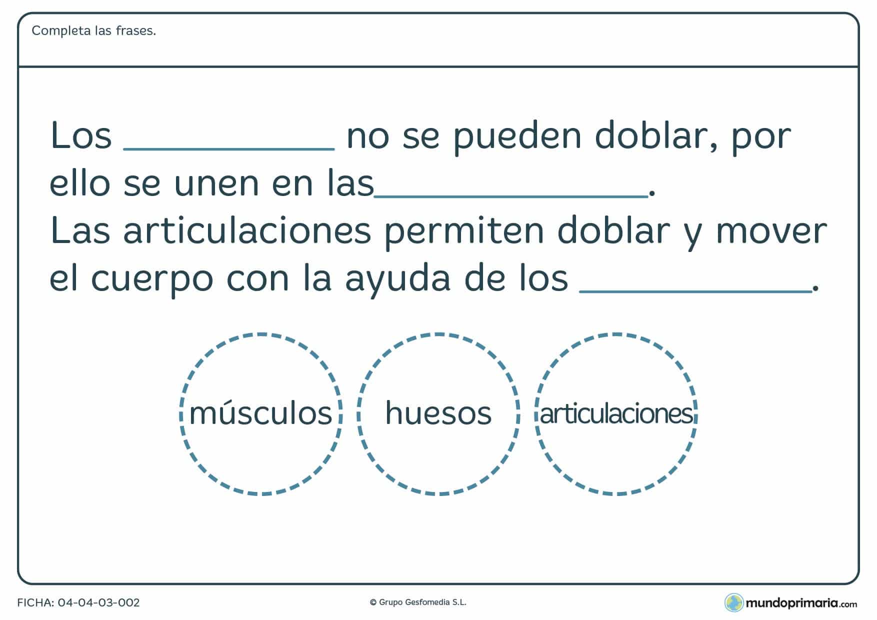 Ficha del sistema oseo en la que has de rellenar las palabras que faltan de una definición explicativa de los huesos del cuerpo.