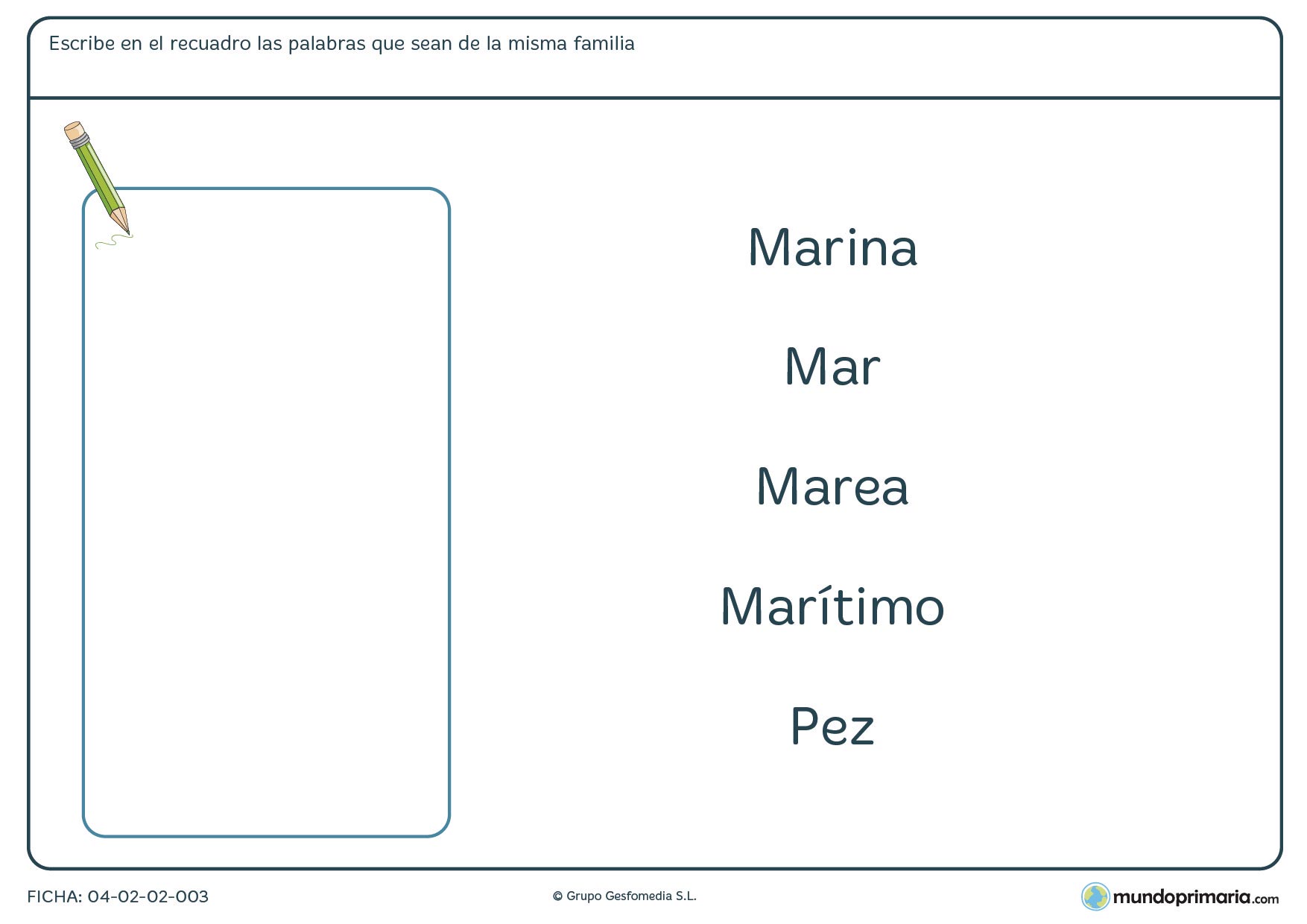 Ejercicios vocabulario lengua para segundo primaria