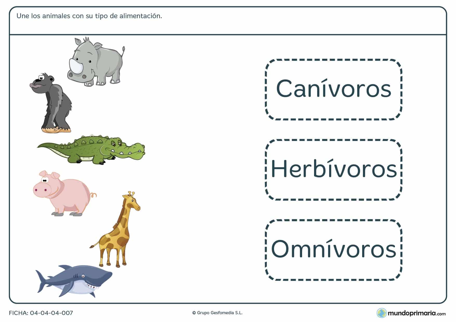 Ficha de animales y su alimentación en el que hay que unir los animales del ejercicio con el tipo de alimentación que corresponda a dicho animal.