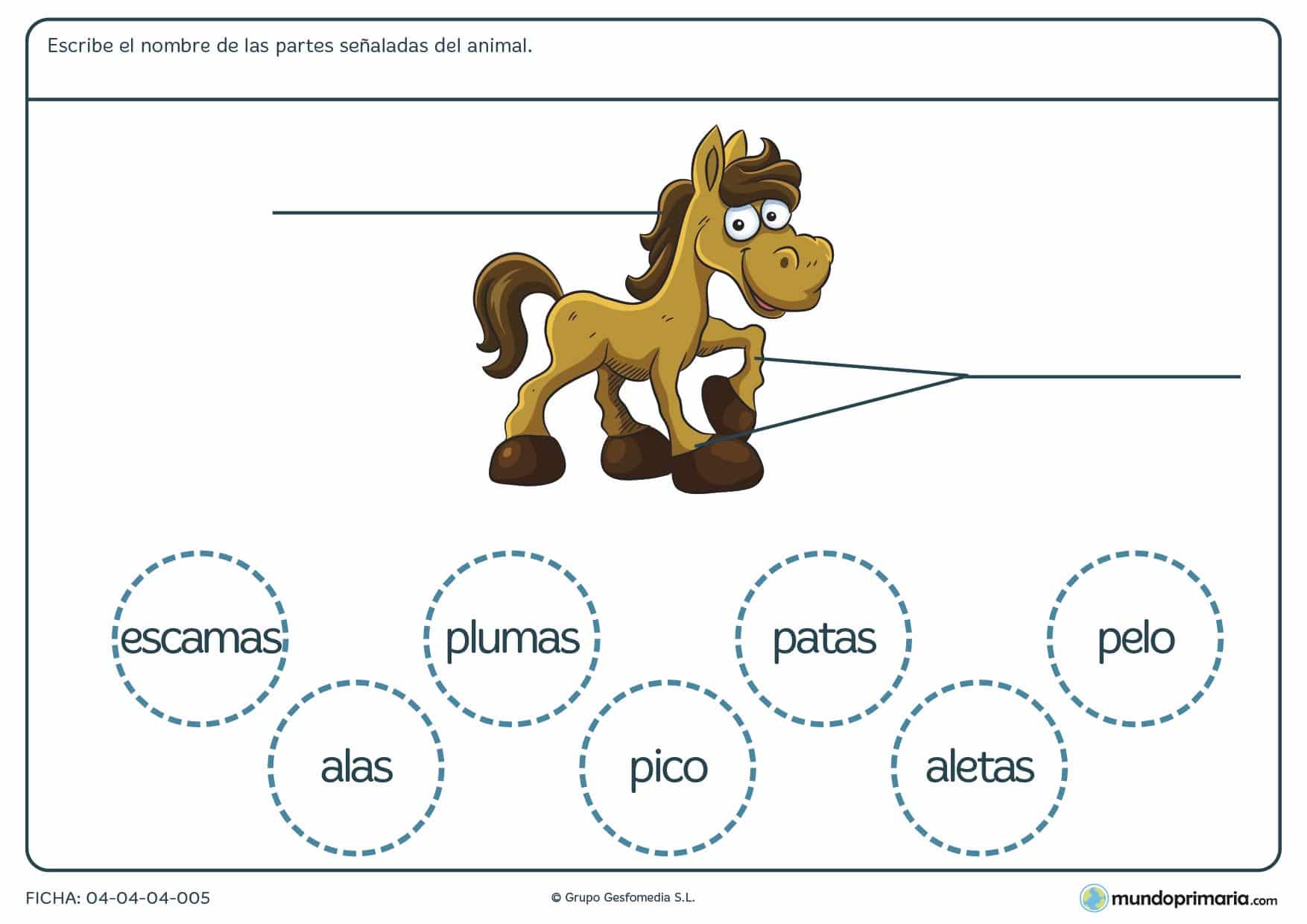 Ficha de las partes del caballo en el que hay que escribir las partes del animal según corresponda y eligiendo entre las opciones proporcionadas en el ejercicio.