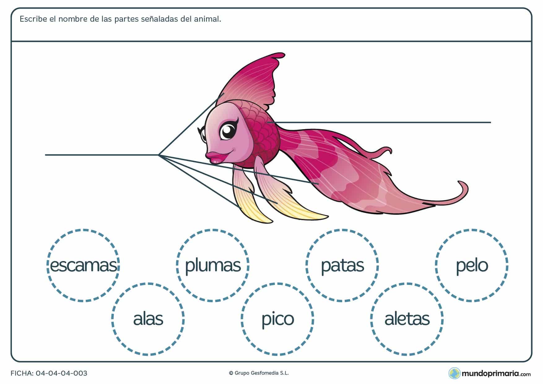 Ficha de las partes del pez en el que hay que escribir las partes del animal según corresponda y eligiendo entre las opciones proporcionadas en el ejercicio.