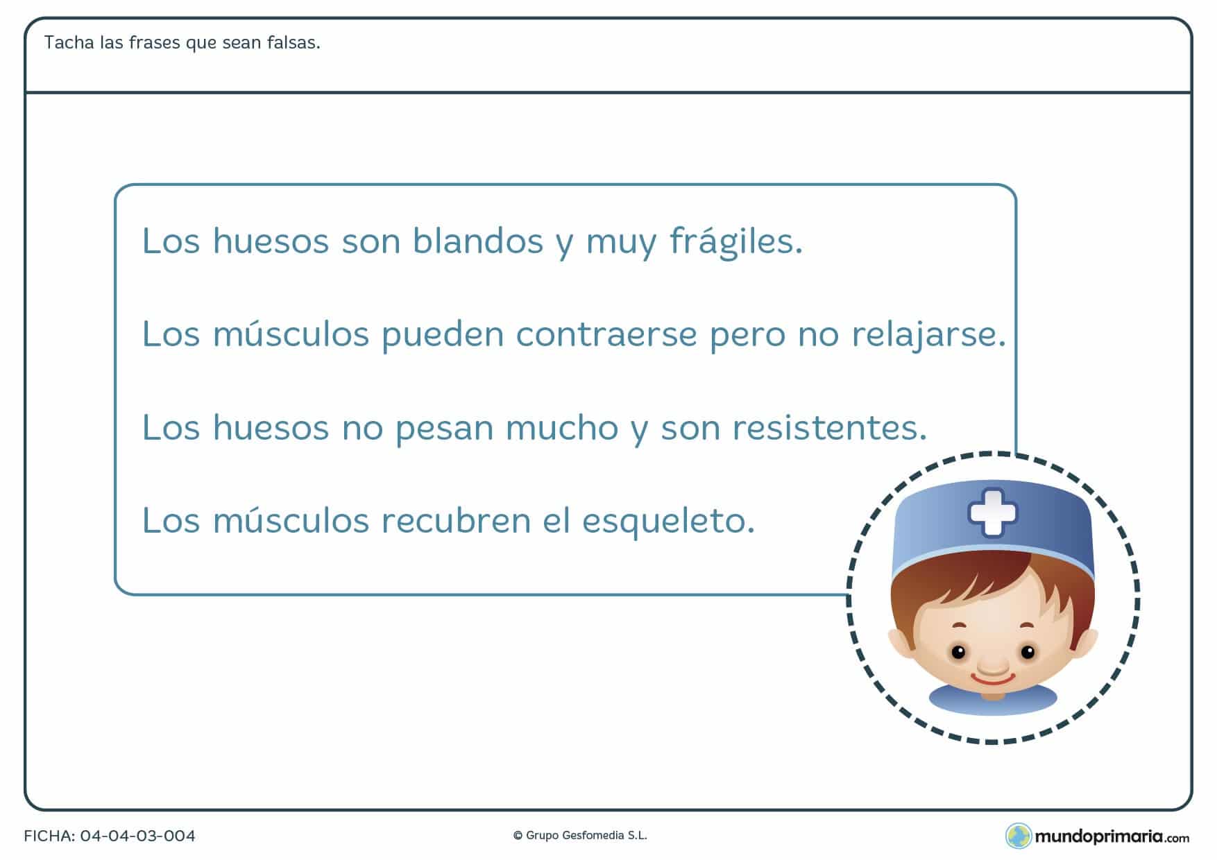 Ficha de los huesos y músculos en el que hay que tachas las frases que sean incorrectas sobre el funcionamiento de los huesos y músculos.