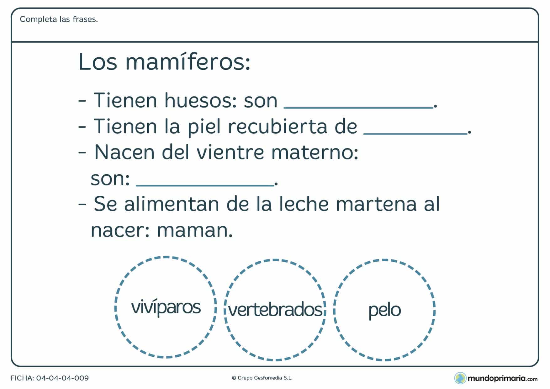 Ficha de los mamíferos en el que hay que completar las frases con las palabras proporcionadas por el ejercicio.