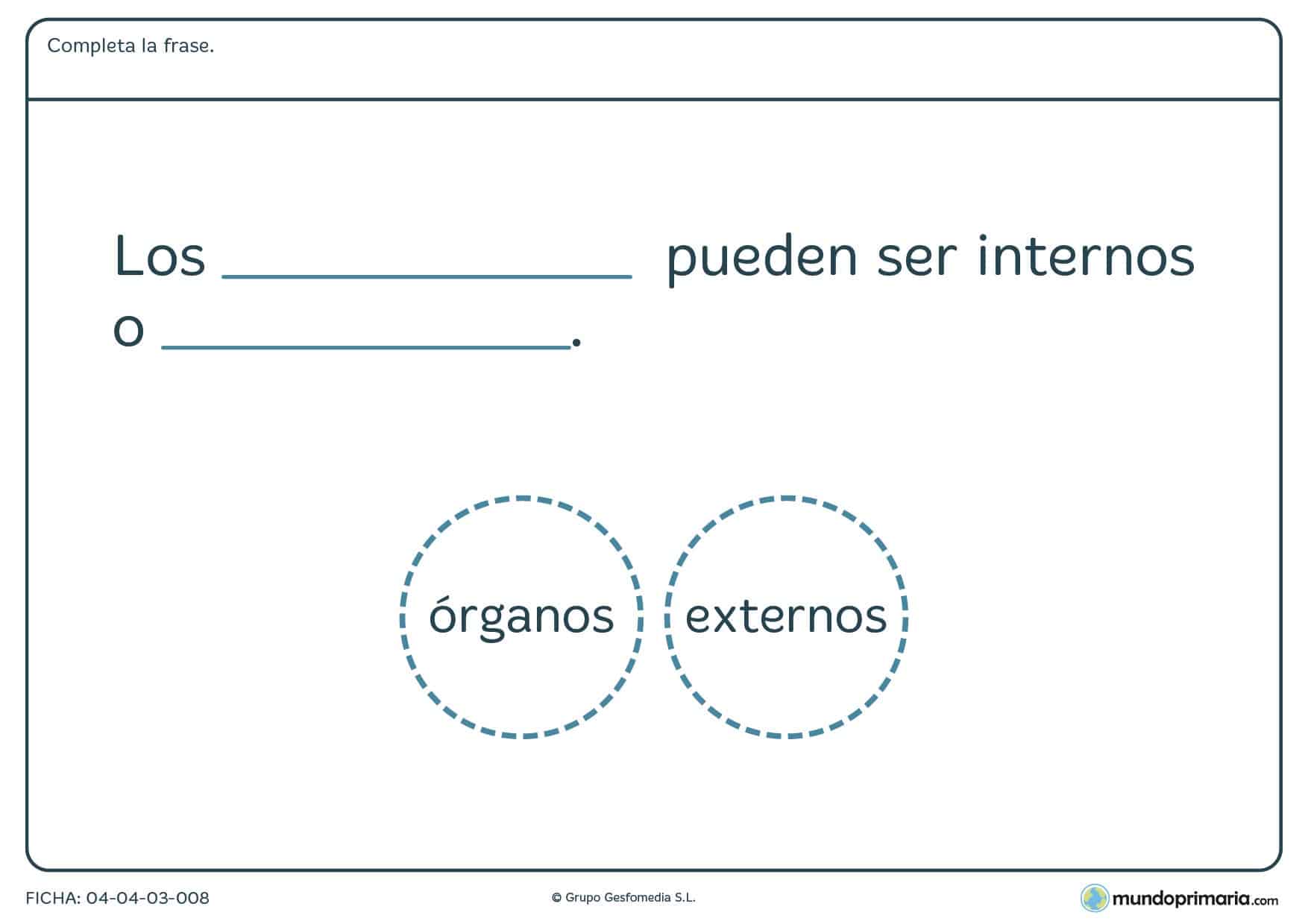 Ficha de los órganos en el que hay que completar la frase con la palabra correcta proporcionada en el ejercicio.