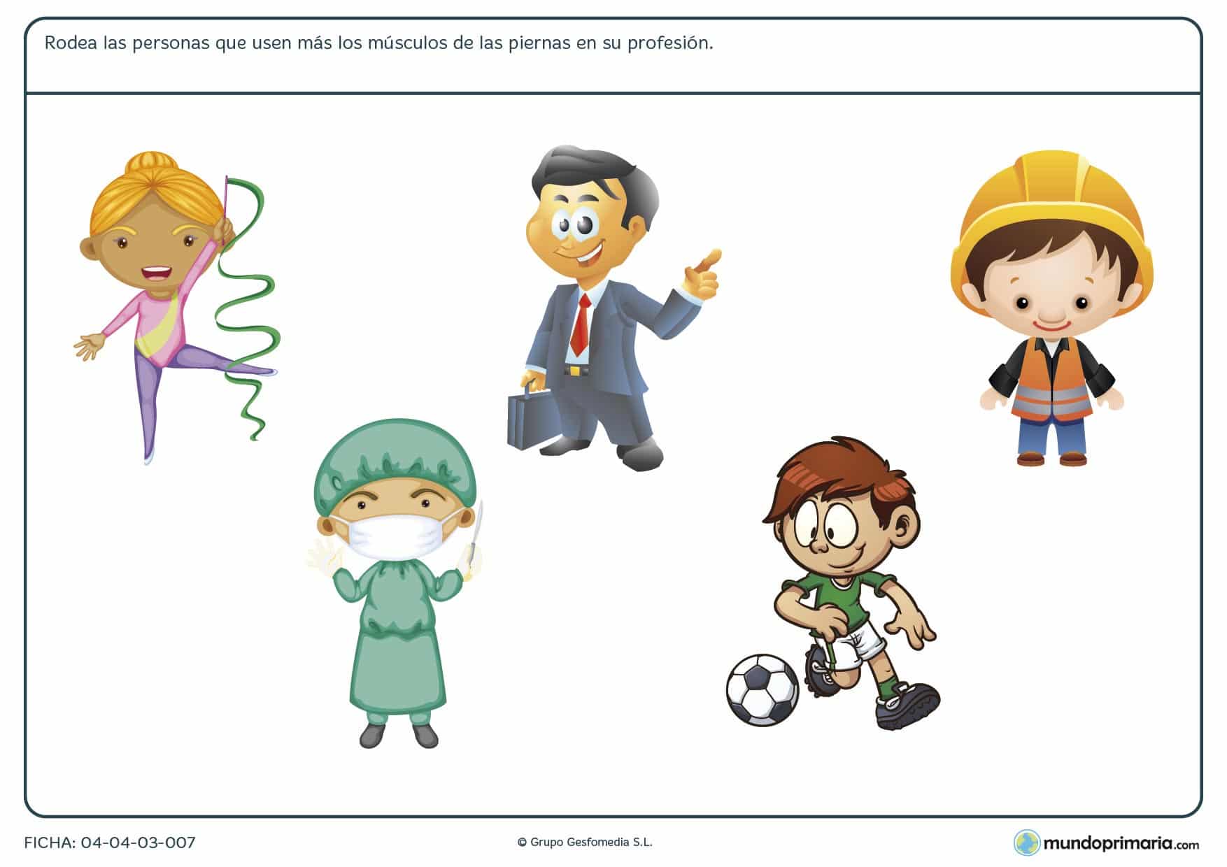 Ficha de músculos de las piernas en el que hay que rodear a la persona o personas que en su profesión desarrollen más estos músculos.