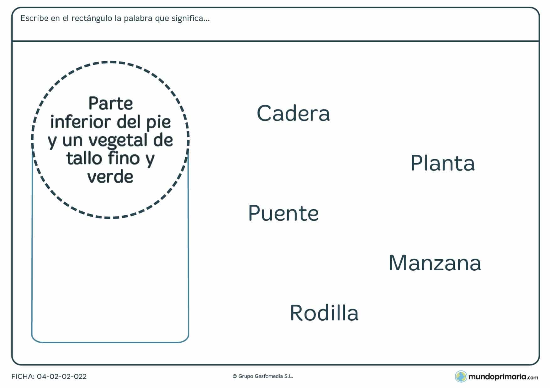 Ficha de niños de primaria de relacionar una palabra con su significado en la que tendrás que relacionar alguna de las palabras dadas con la descripción que aparece en el círculo.