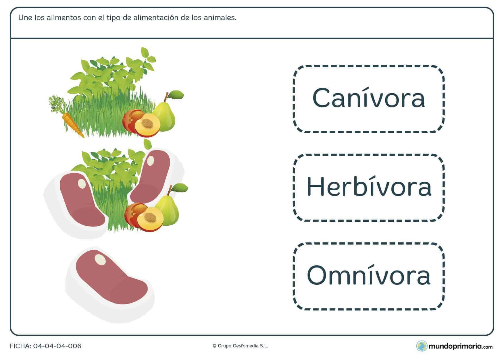 Ficha de tipos de alimentación en el que hay que unir el tipo en cuestión con los alimentos correspondientes a dicho tipo.