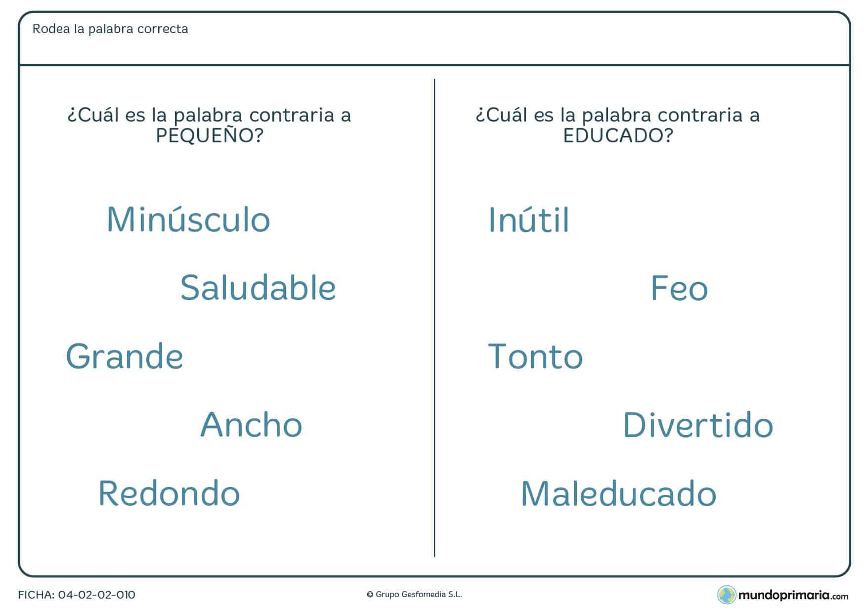 Ficha para niños de segundos de primaria de unir la palabras opuestas en la que, dentro del grupo de palabras dado, hay que identificar la palabra contraria de "pequeño" y "educado".