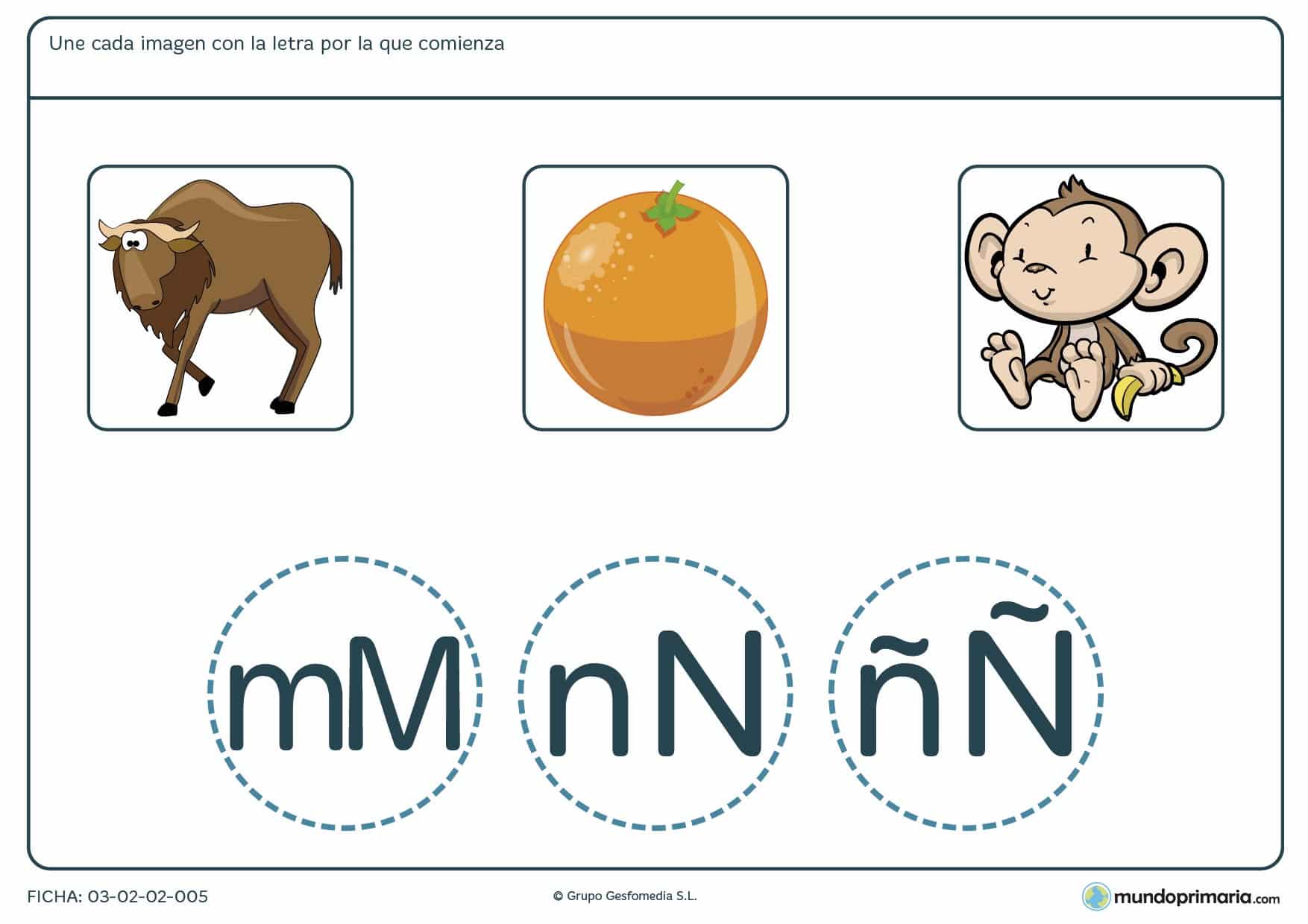 Ejercicios vocabulario lengua para primero primaria