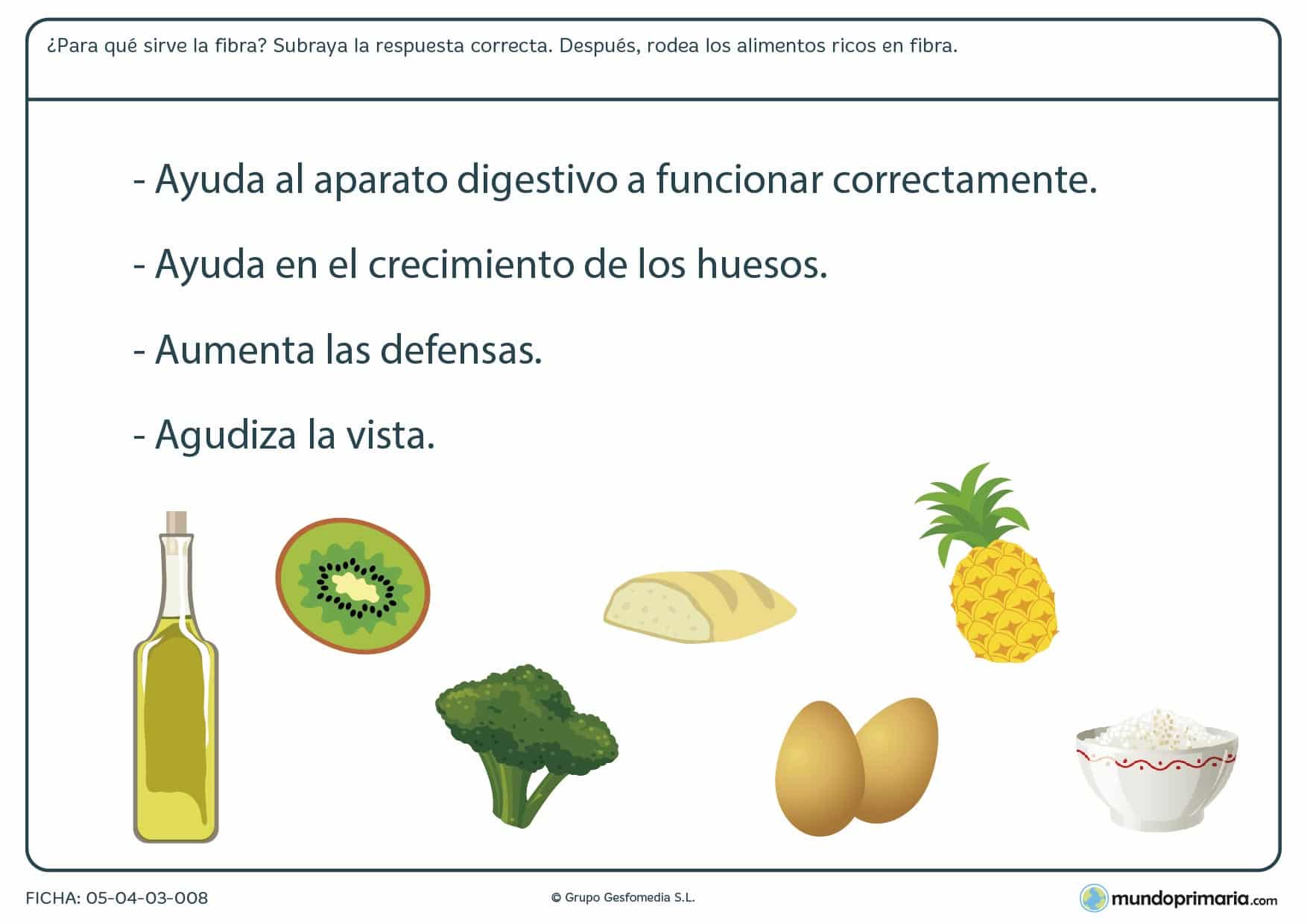 Ficha de los alimentos altos en fibra en el que se tiene que rodear las ímagenes de los alimentos altos en fibra.
