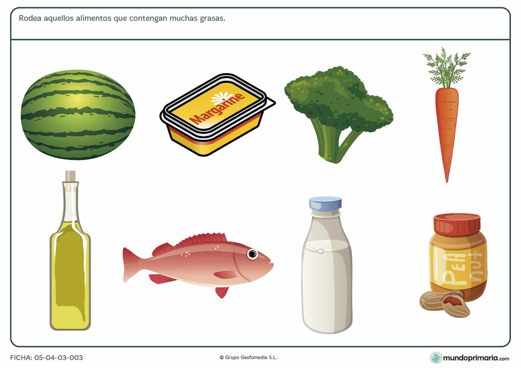 Ficha de los alimentos altos en grasas en el que se tiene que rodear las ímagenes de los alimentos altos en grasas.