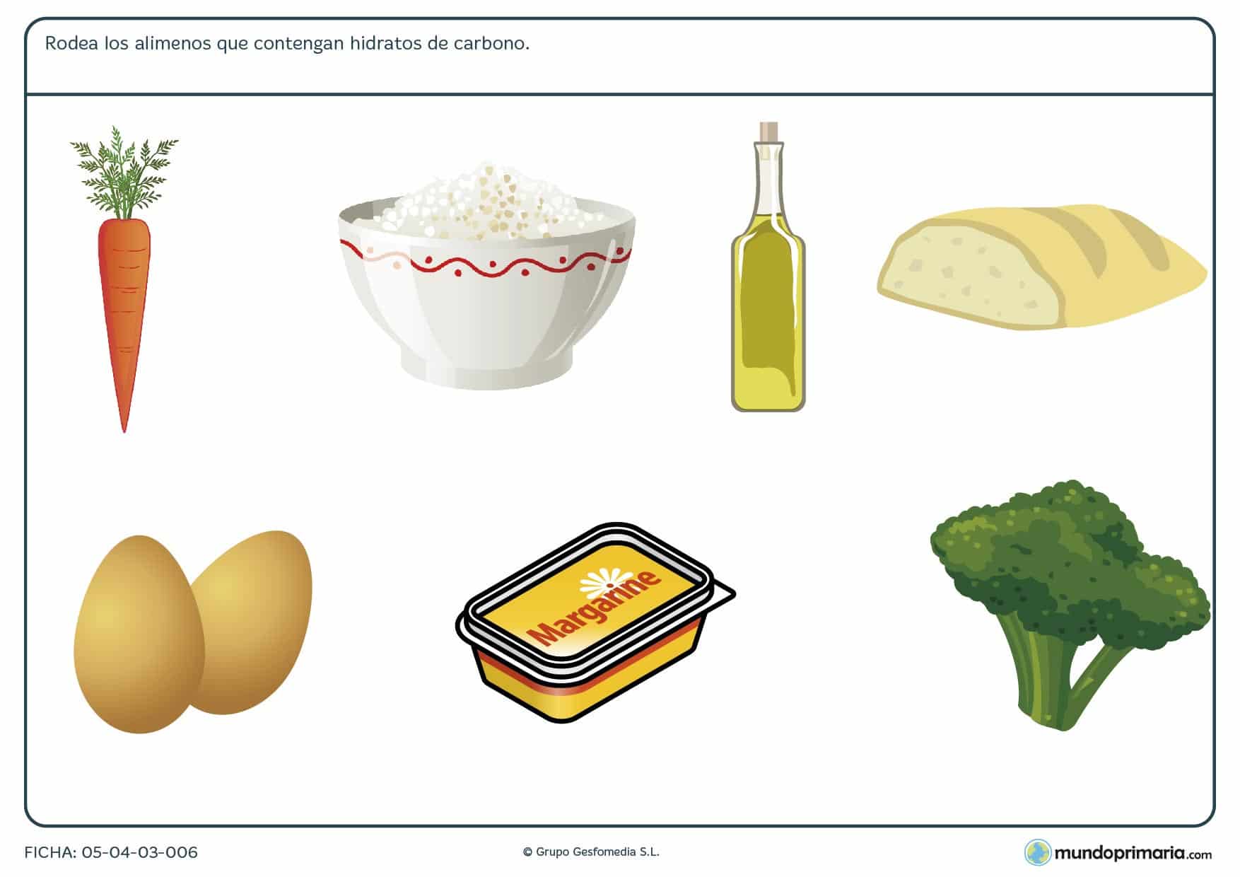 Ficha de los alimentos altos en hidratos de carbono en el que se tiene que rodear las ímagenes de los alimentos altos en hidratos de carbono.