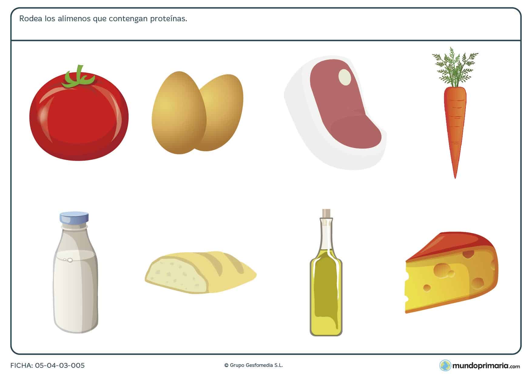 Ficha de los alimentos altos en proteínas en el que se tiene que rodear las ímagenes de los alimentos altos en proteínas.