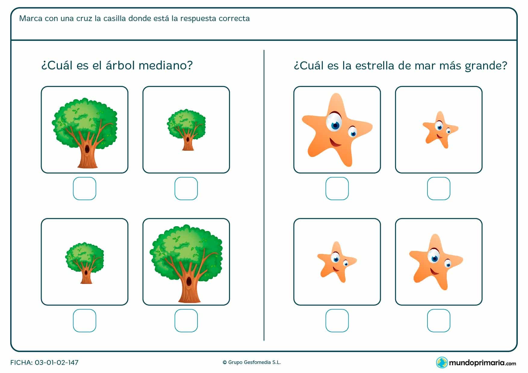 Compara las imágenes e identifica el mediano o el más grande.