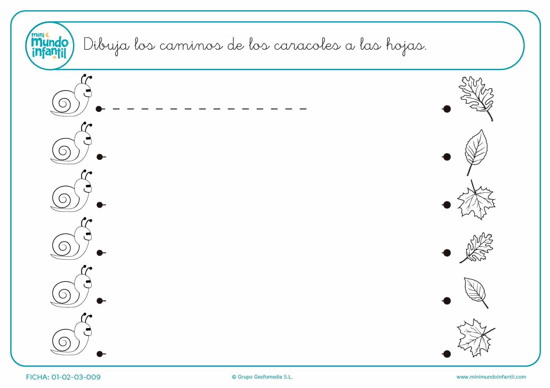 Haz líneas horizontales y une a los caracoles con sus hojas