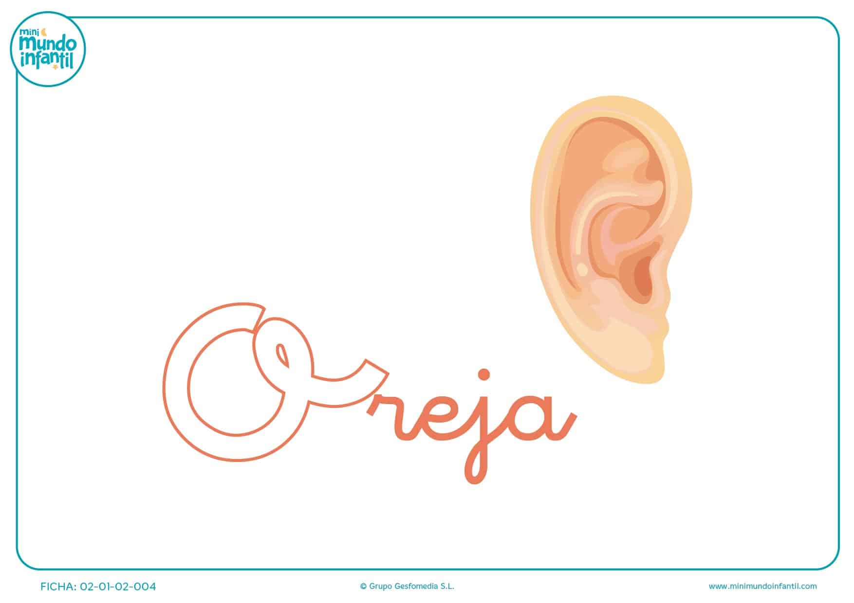 Letra o de oreja en minúsculas para completar