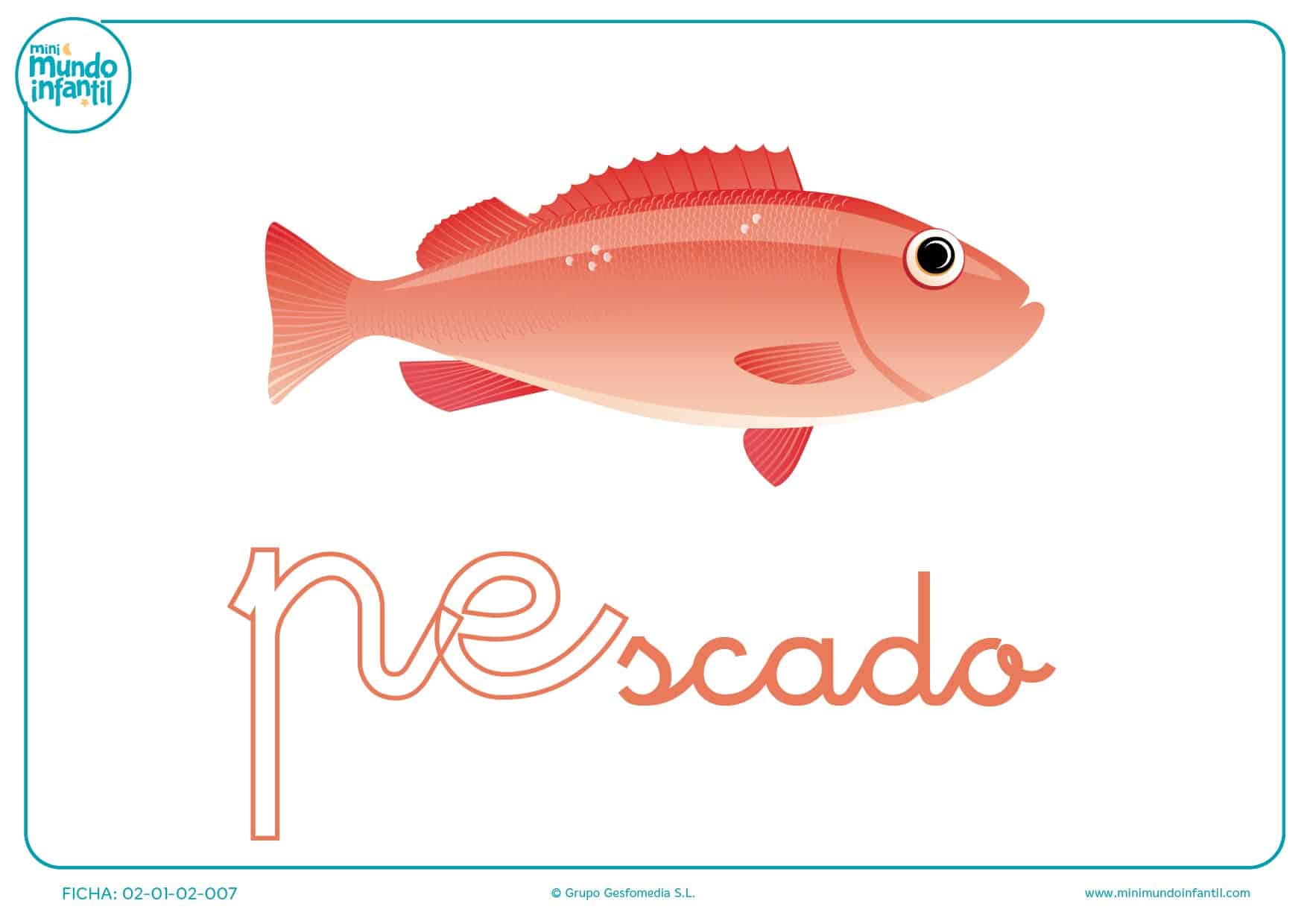 Letras pe de pescado en minúsculas para rellenar
