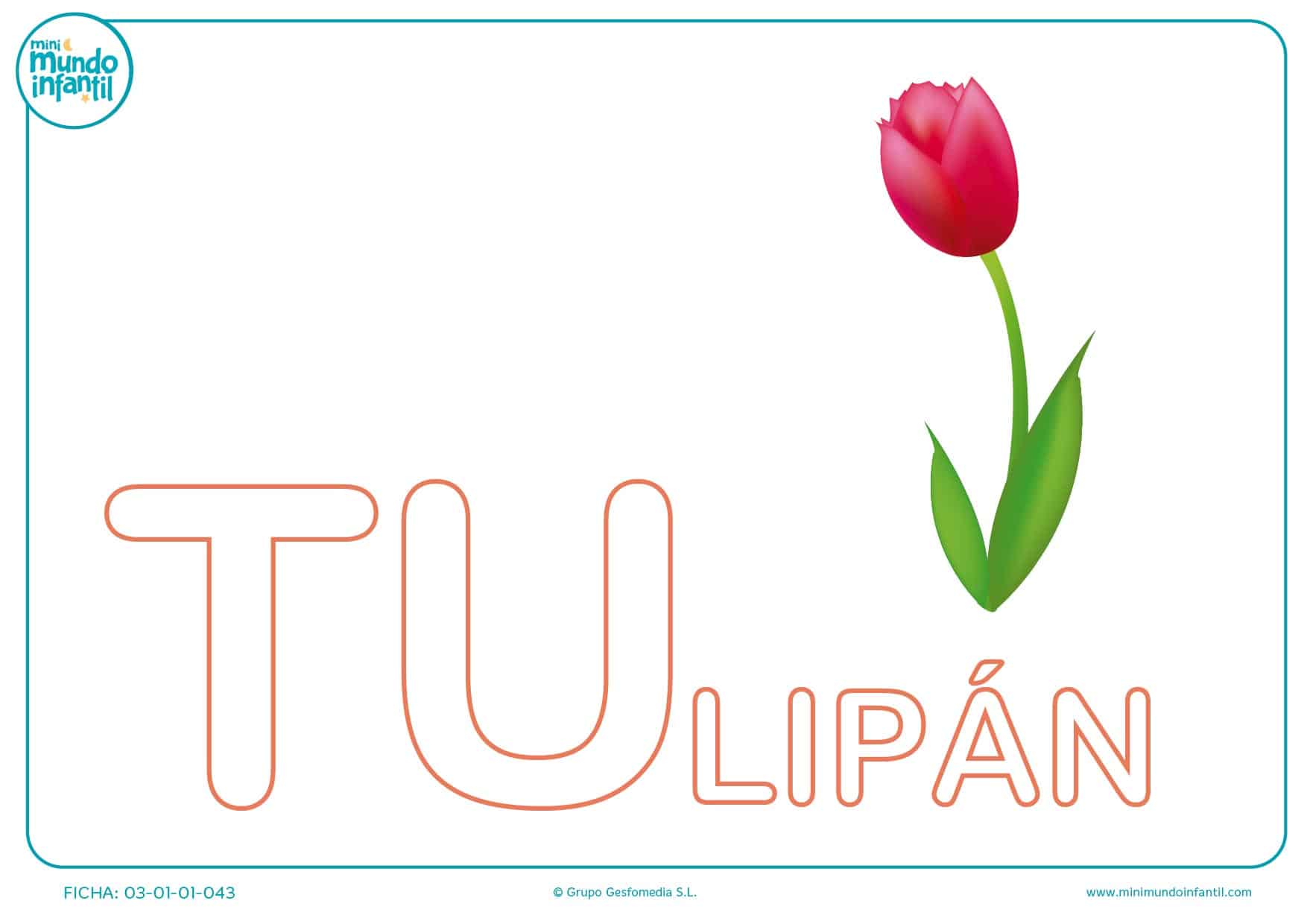 Sílaba TU mayúscula de tulipá para colorear