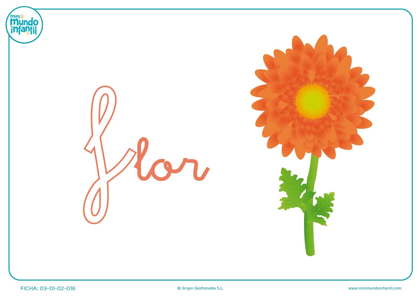 Letra F minúscula de flor para completar