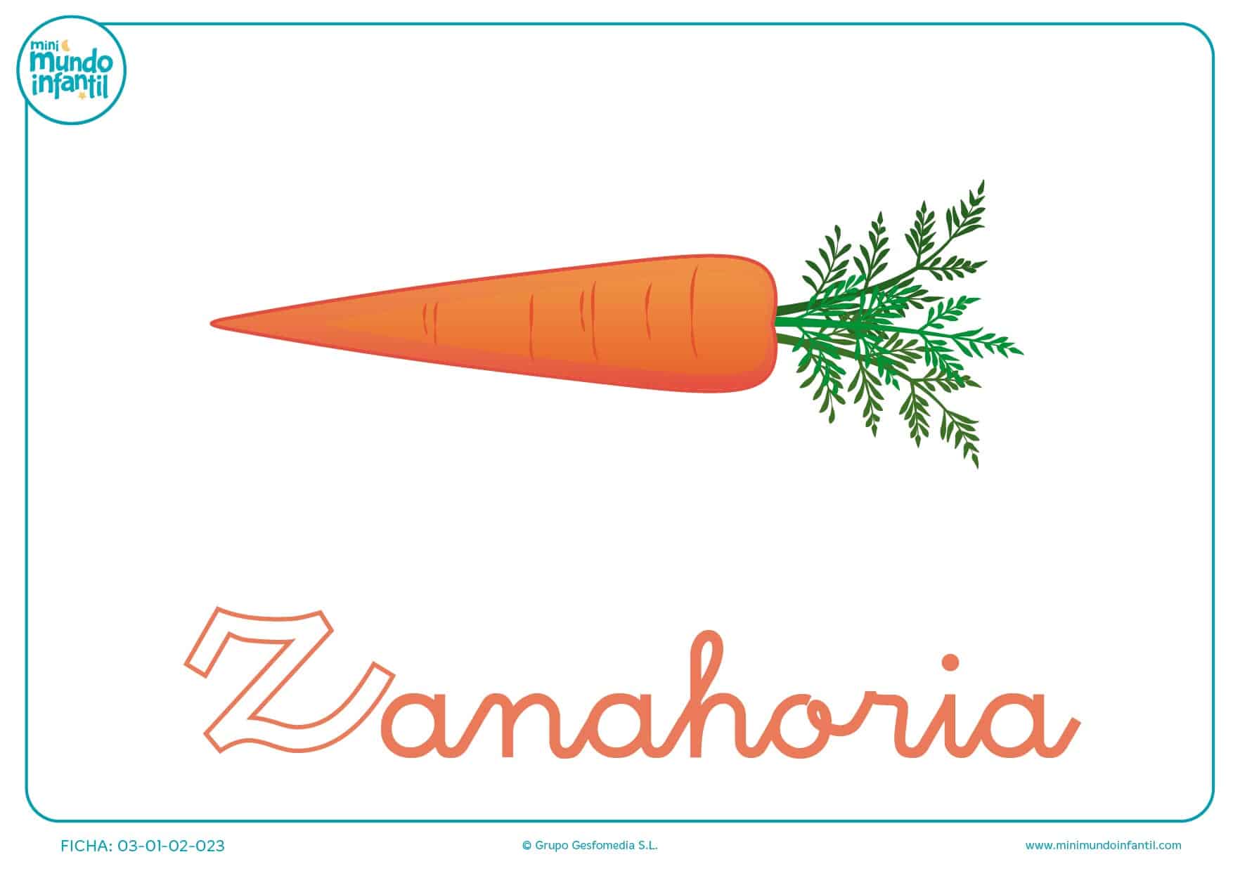 Letra Z minúscula de zanahoria para colorear