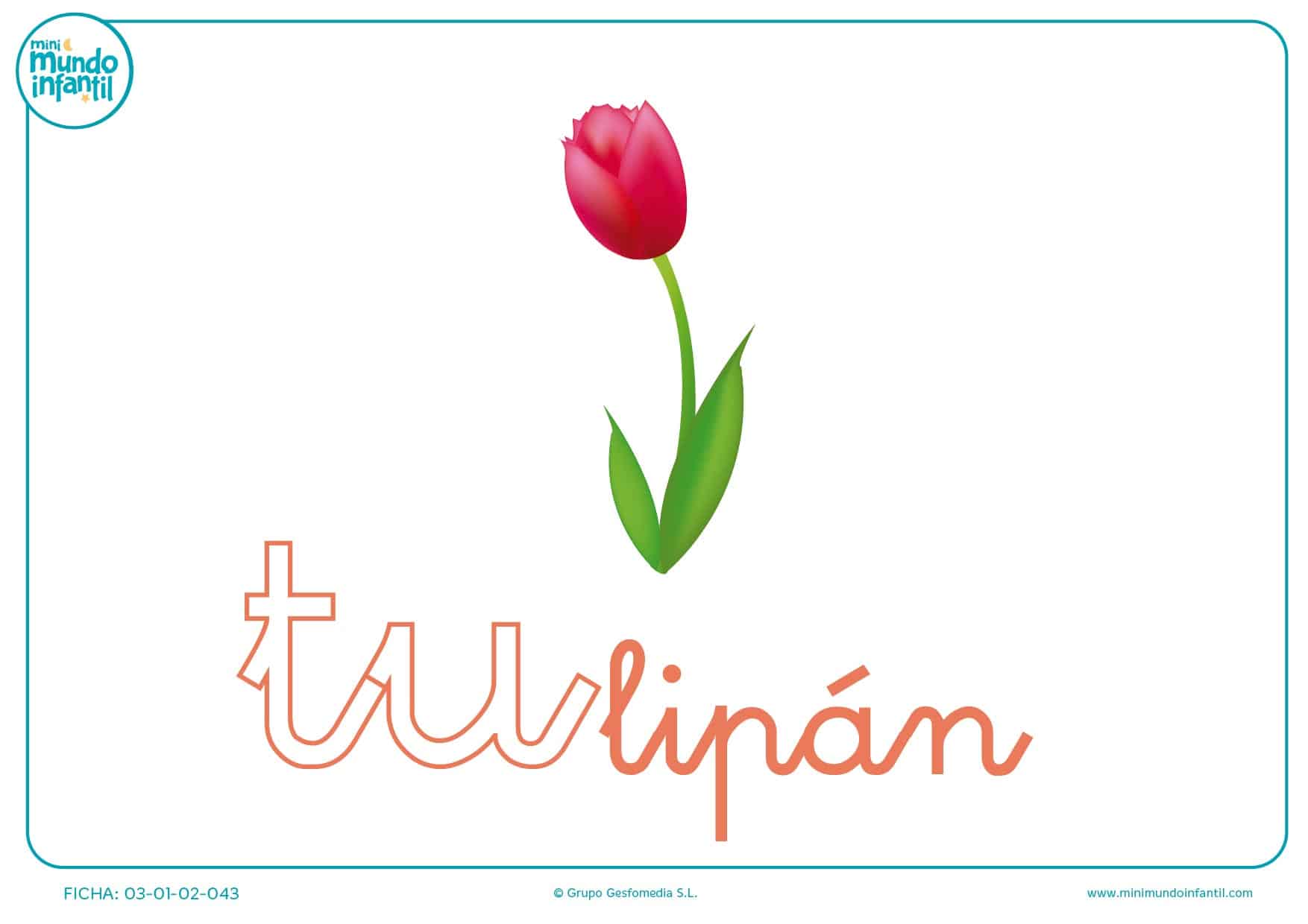 Sílaba TU minúscula de tulipá para pintar
