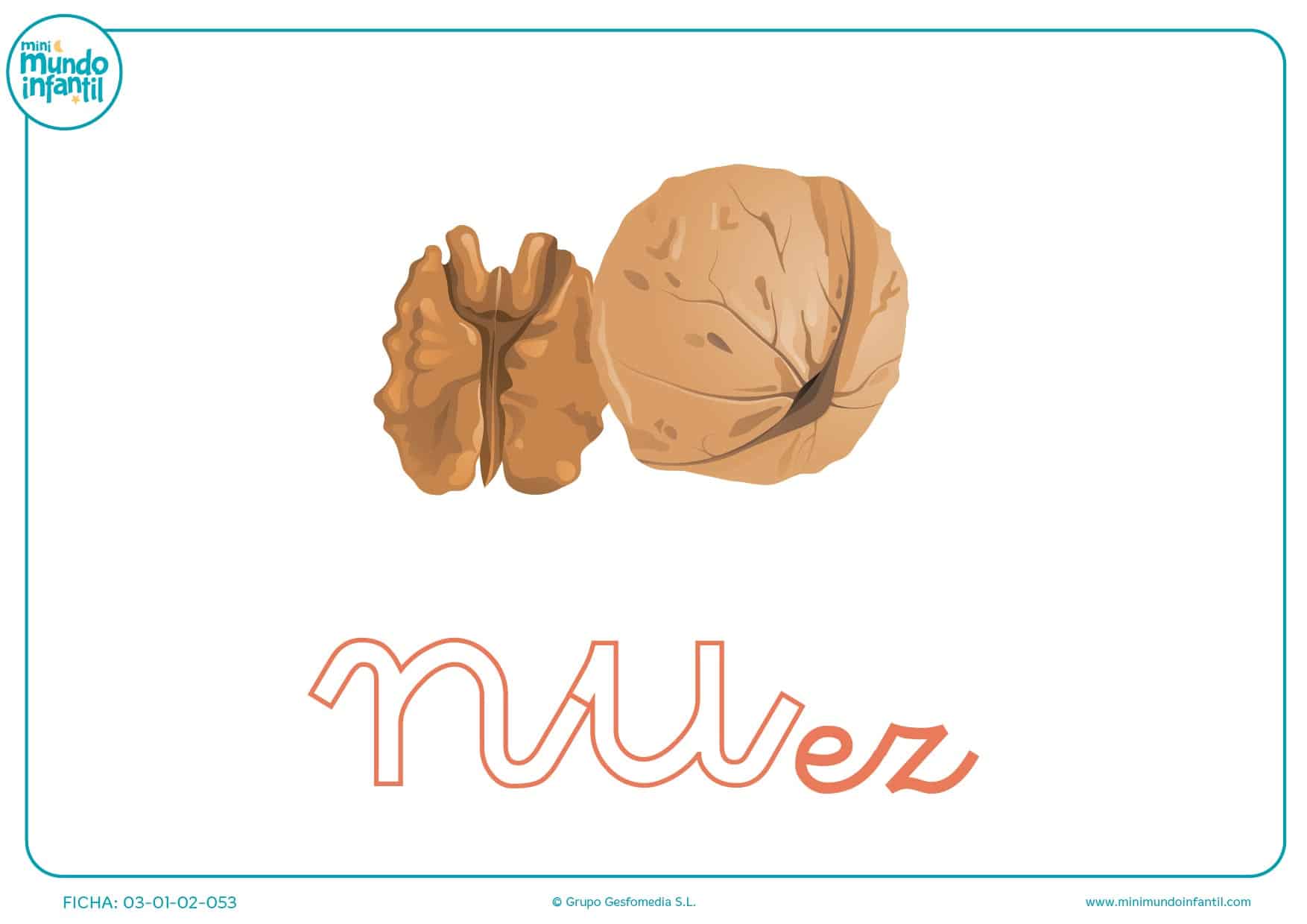 Sílaba NU minúscula de nuez para pintar