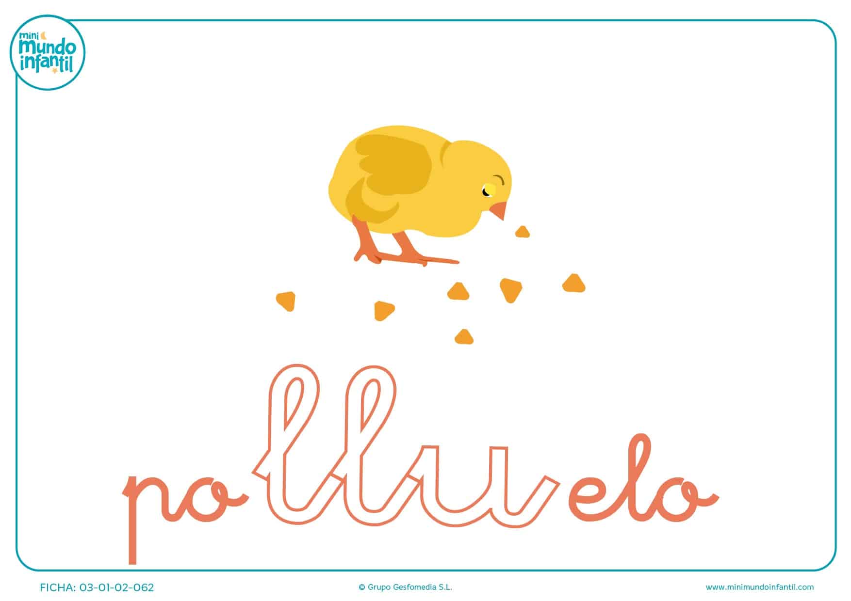 Colorea la sílaba LLU minúscula de polluelo