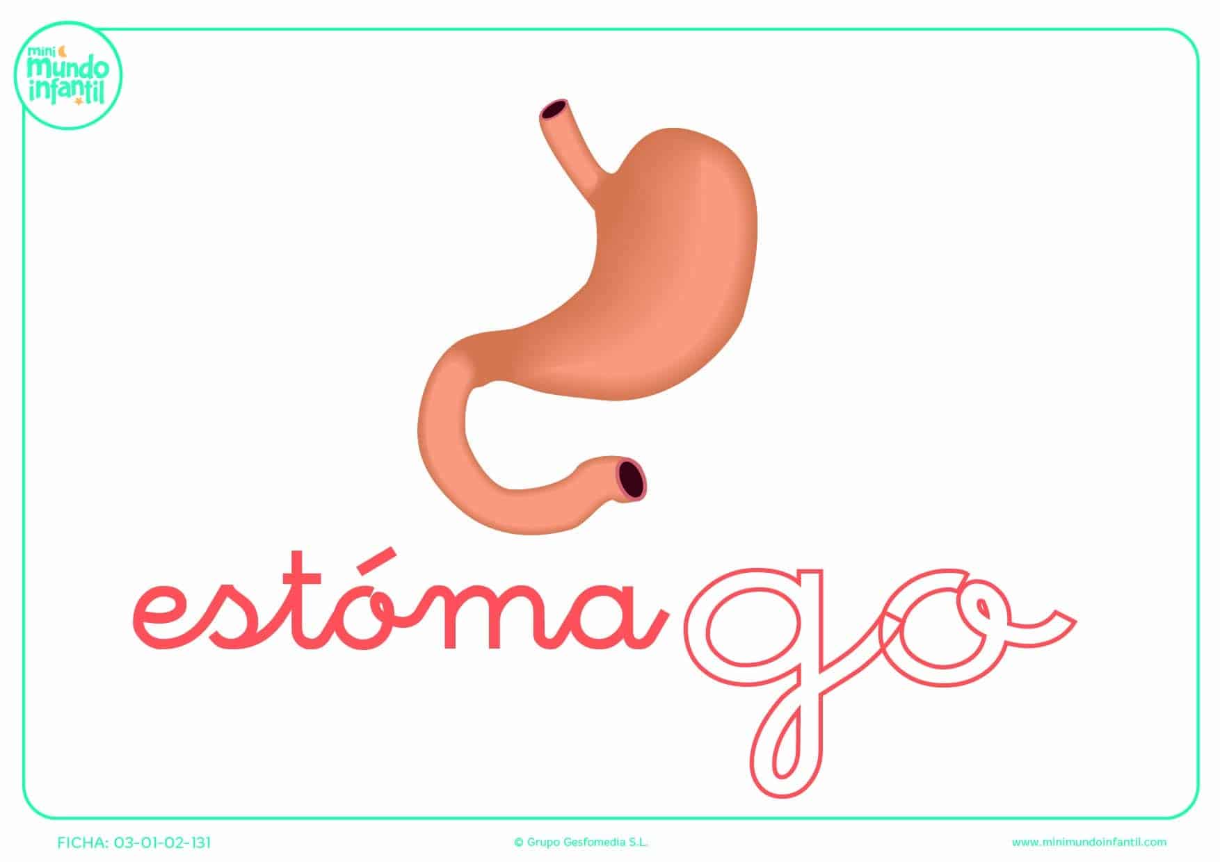 Completar la sílaba GO minúscula de estómago