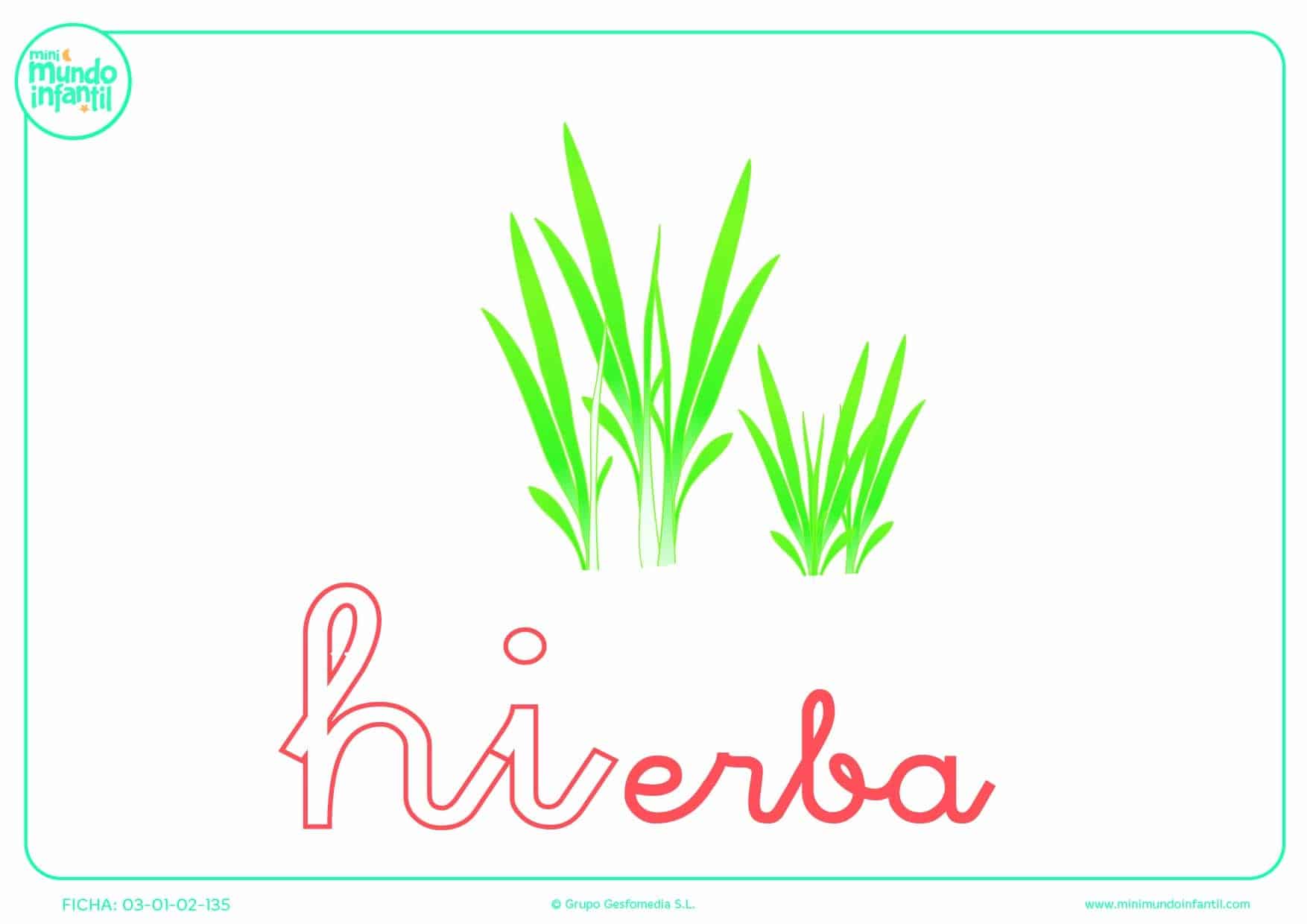 Rellenar la sílaba HI de hierba en minúsculas