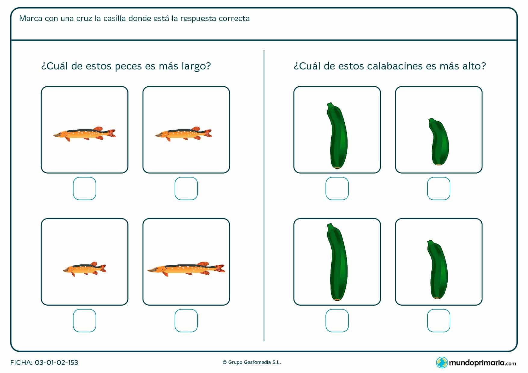 De las cuatro imágenes ofrecidas identifica las de tamaño más largo o más alto.