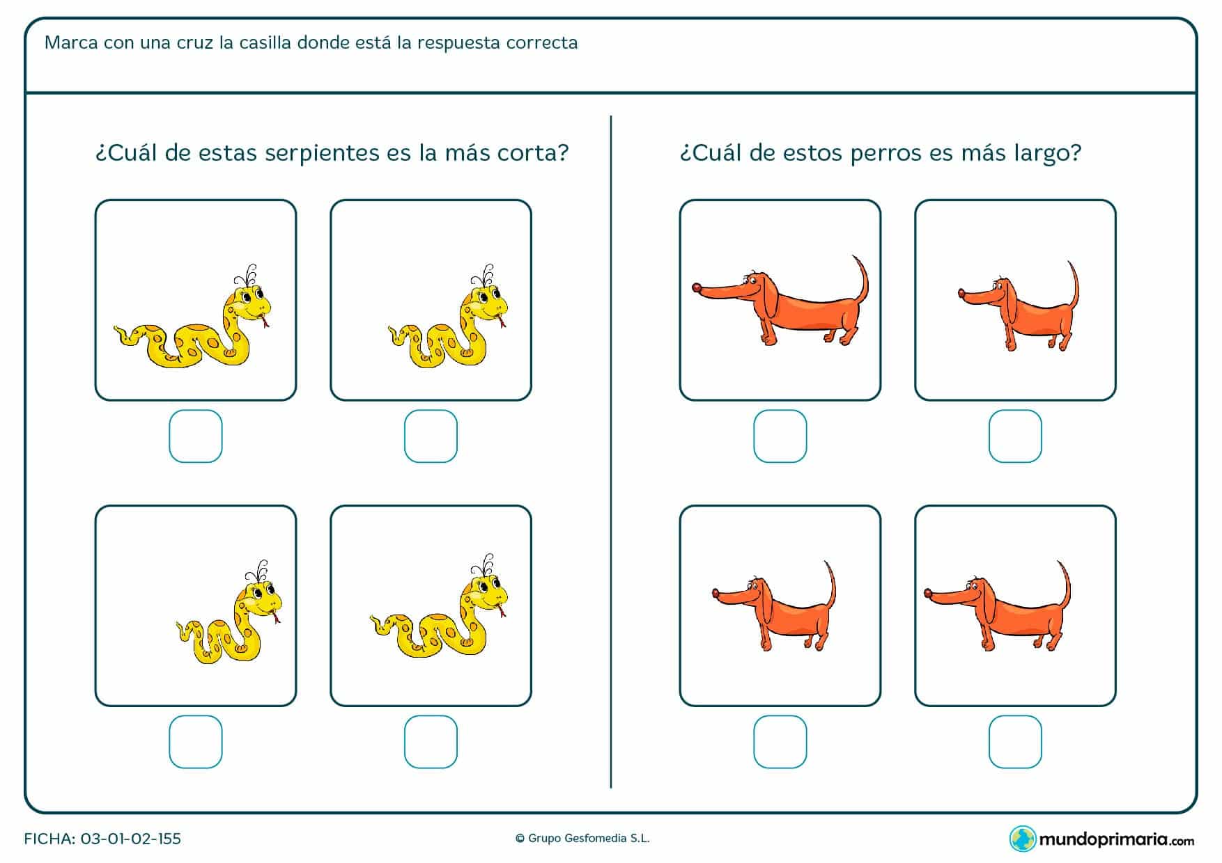 Observa los dibujos e identifica a la serpiente más corta y al perro más largo. Compara todas las imágenes y marca la respuesta verdadera.