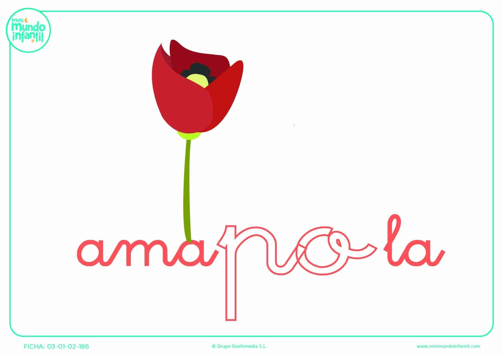 Pon color a la sílaba PO de amapola en minúsculas