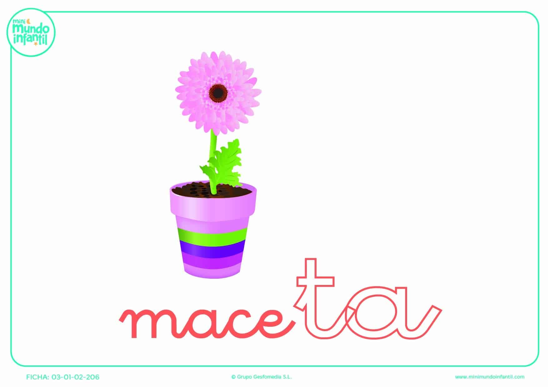 Poner color a la sílaba TA de maceta en minúsculas